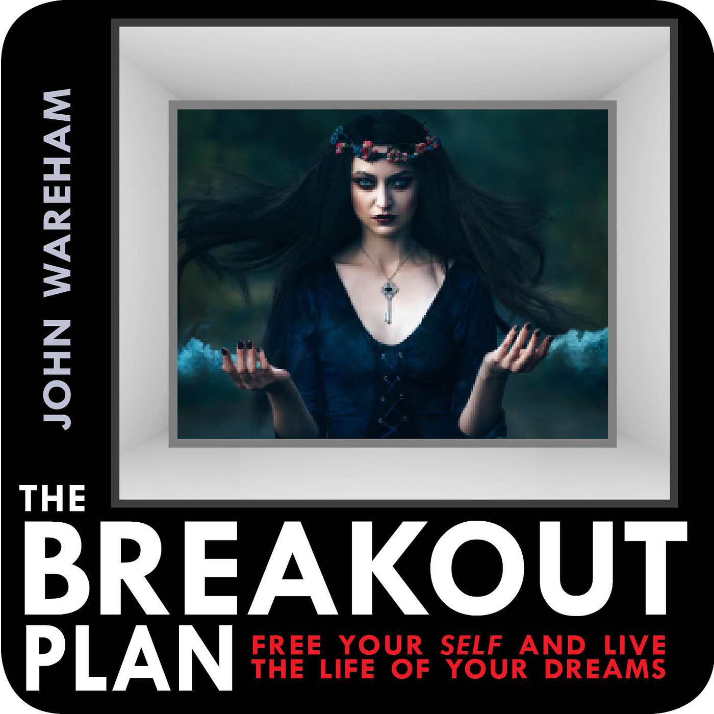 THE BREAKOUT PLAN  / Eagles Circle Foundation  / John Wareham