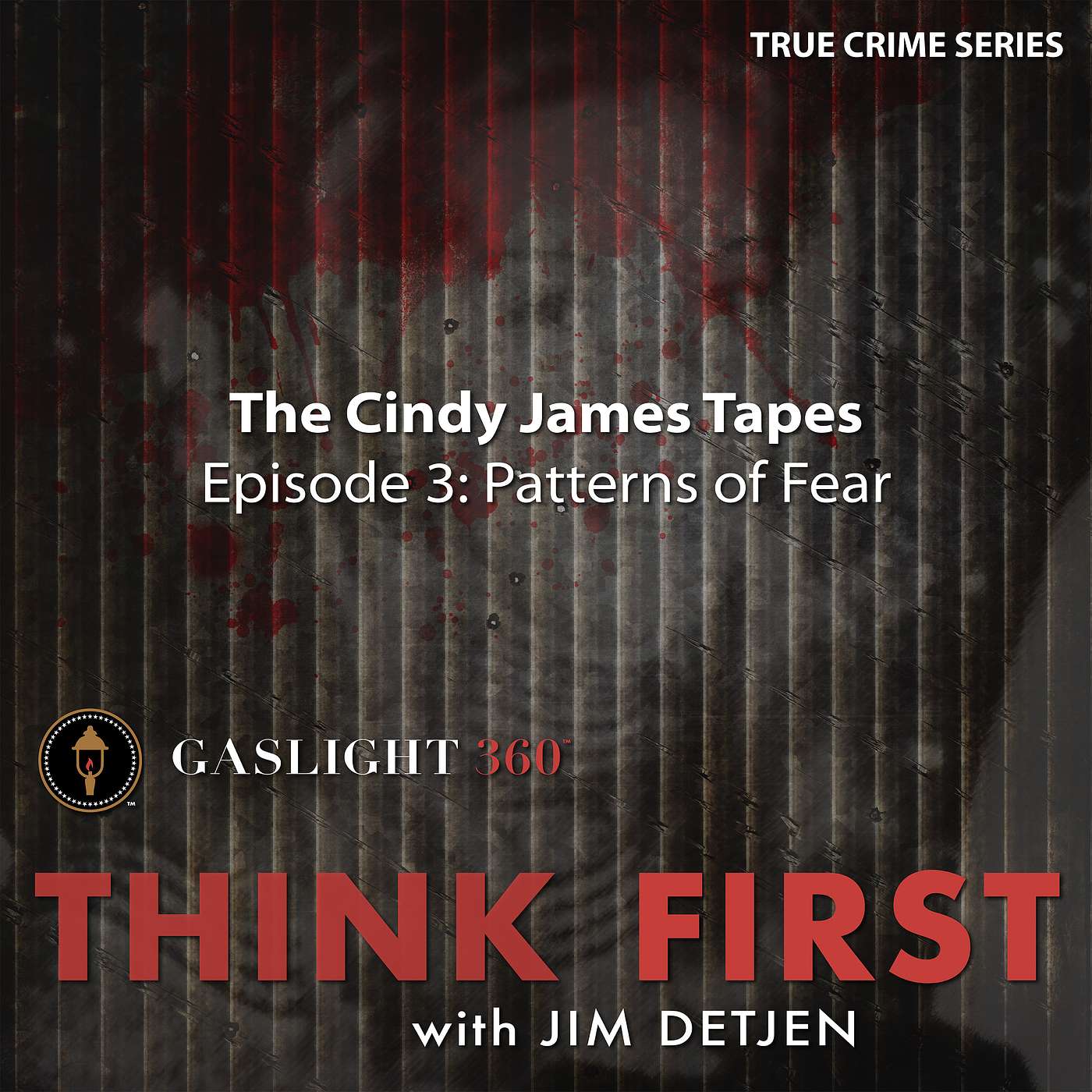 🔍 Ep. 3 The Cindy James Tapes · Patterns of Fear