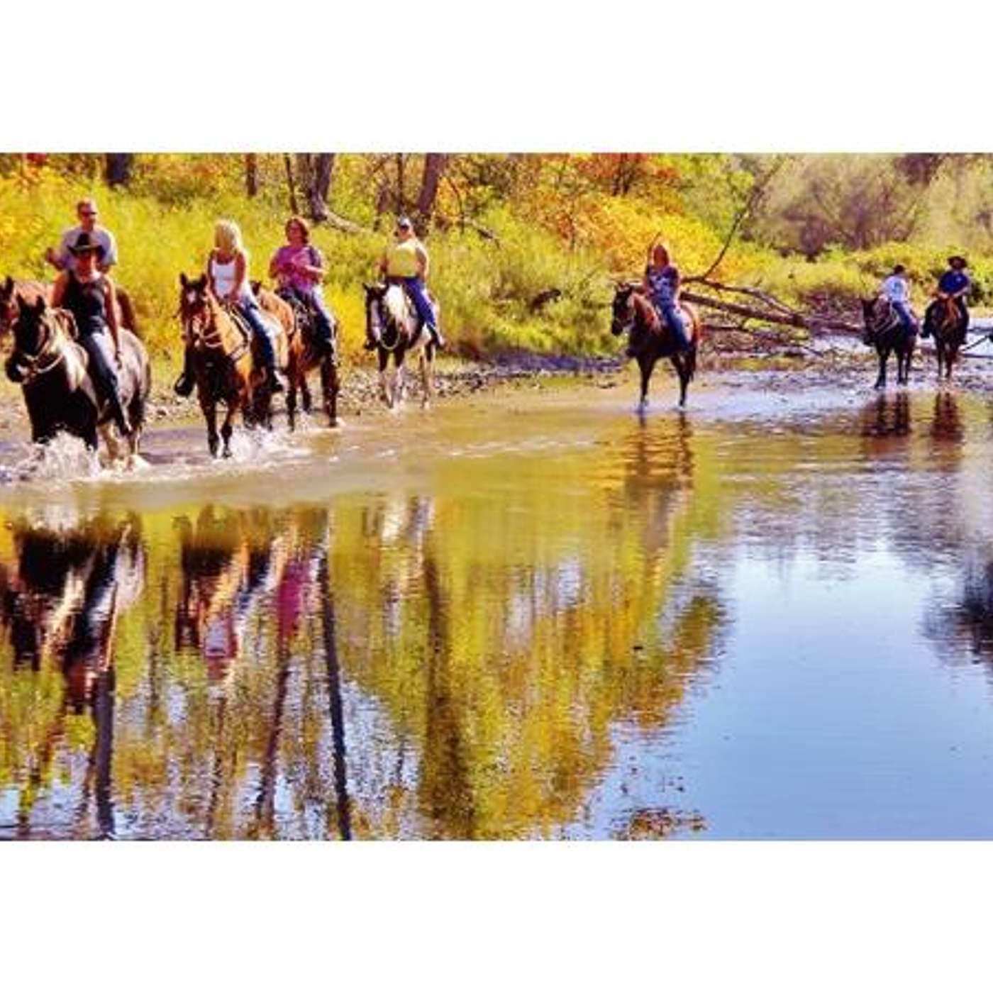 Ride in New York State & Trail Tips with the Trailmeister on SADDLE UP AMERICA!