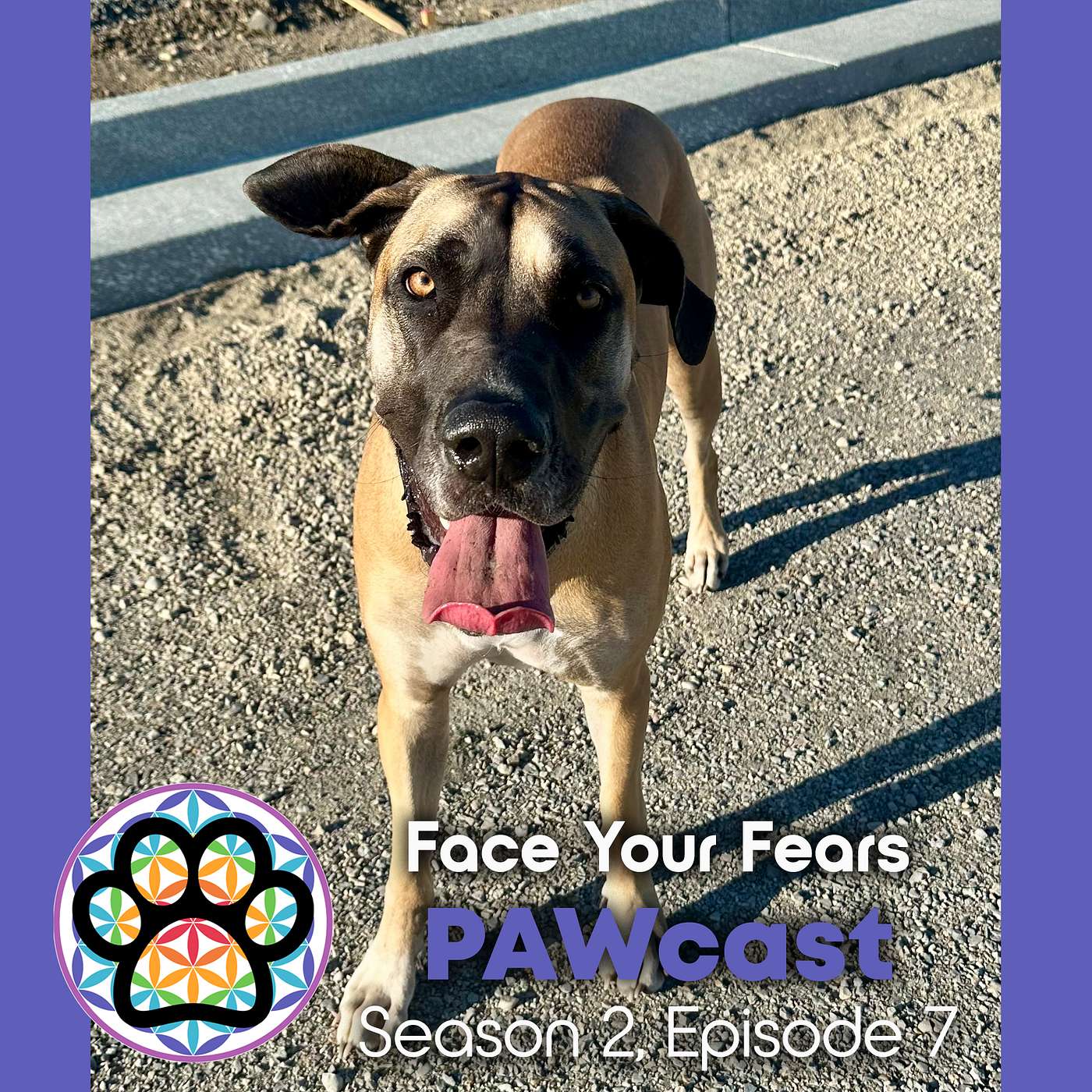Face Your Fears - Conquer Unkowns episode artwork