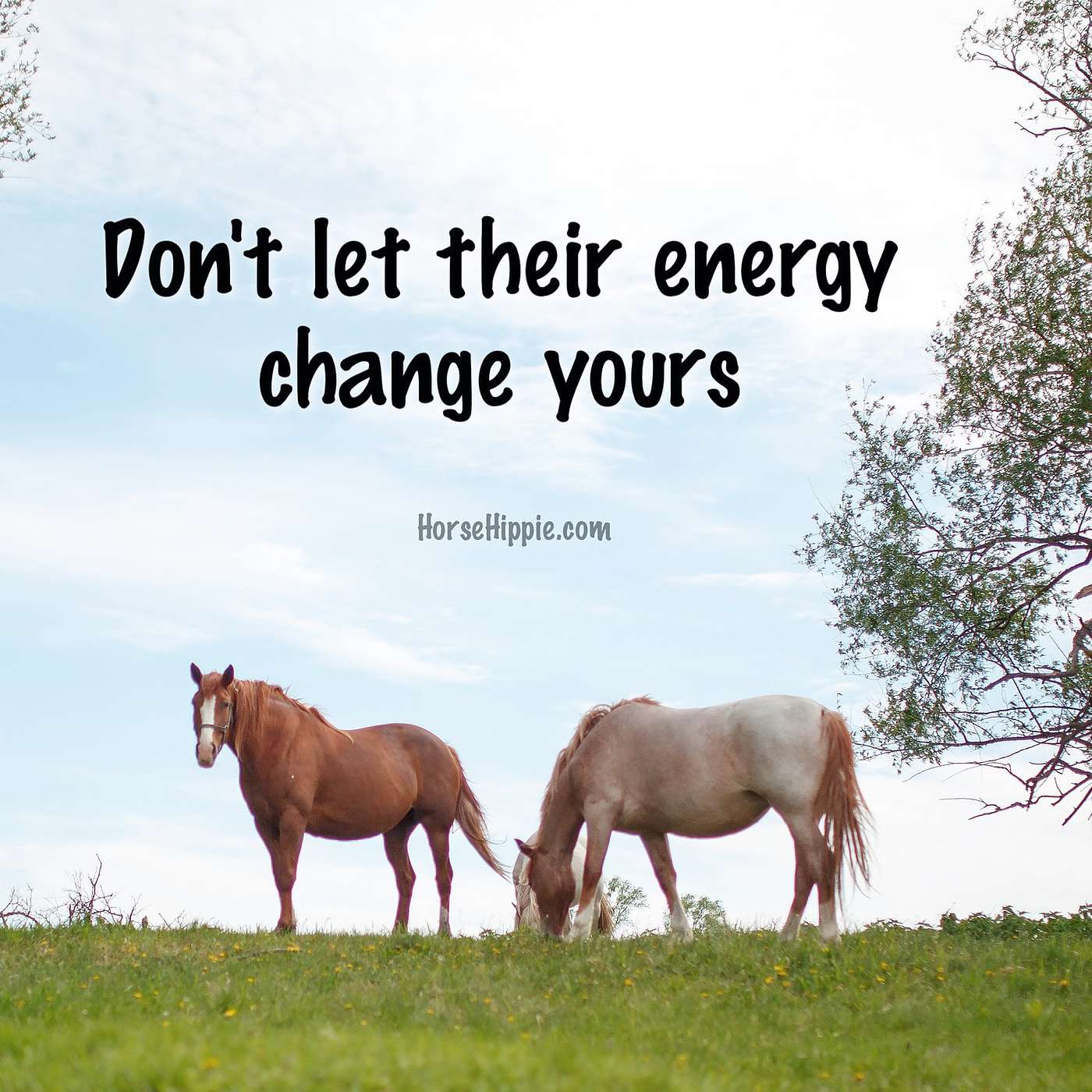 Energy Doesn’t Lie