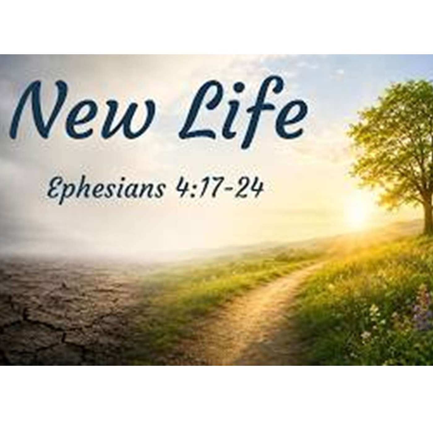 New Life by Tony Gray episode artwork