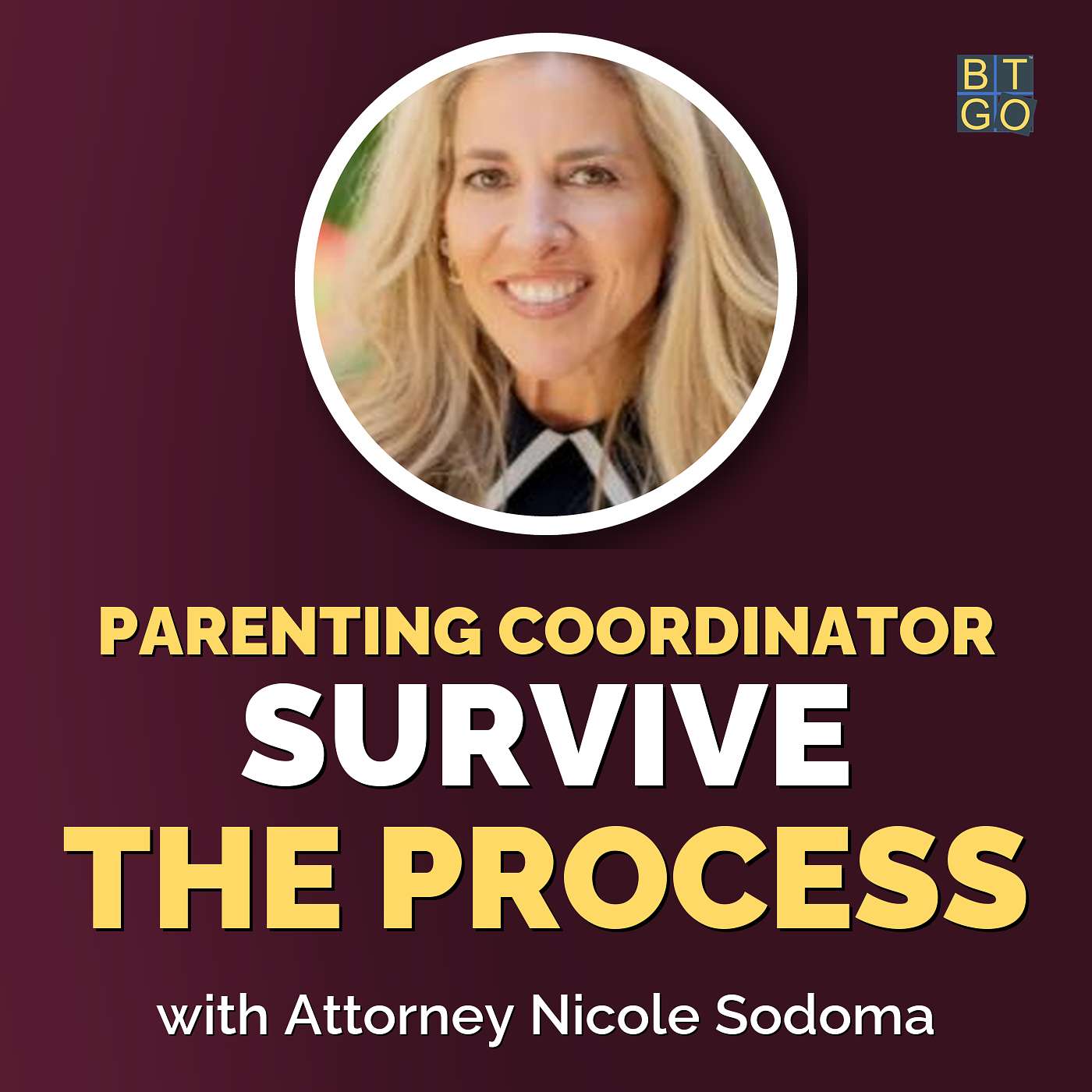 How to Survive a Parenting Coordinator When Your Ex Won't Cooperate episode artwork