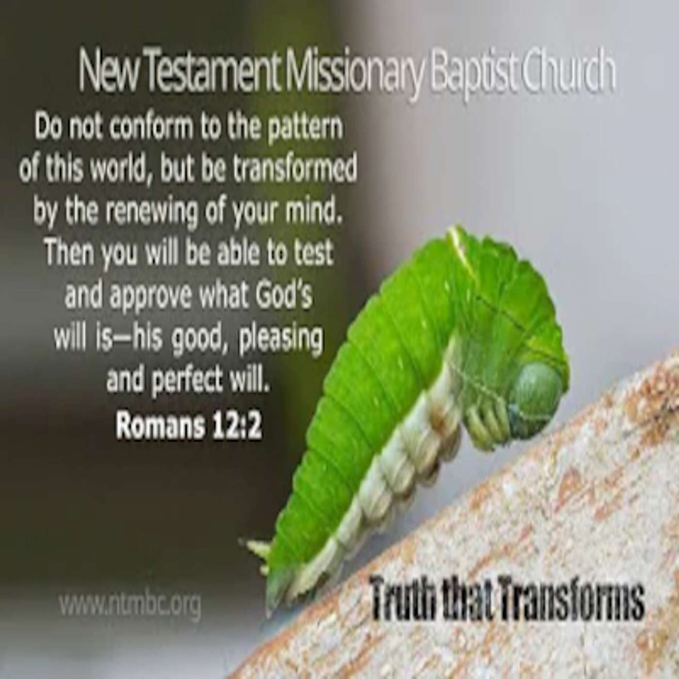 Truths That Transform, Romans 12:2 - 2024 VBS Recap (Audio)
