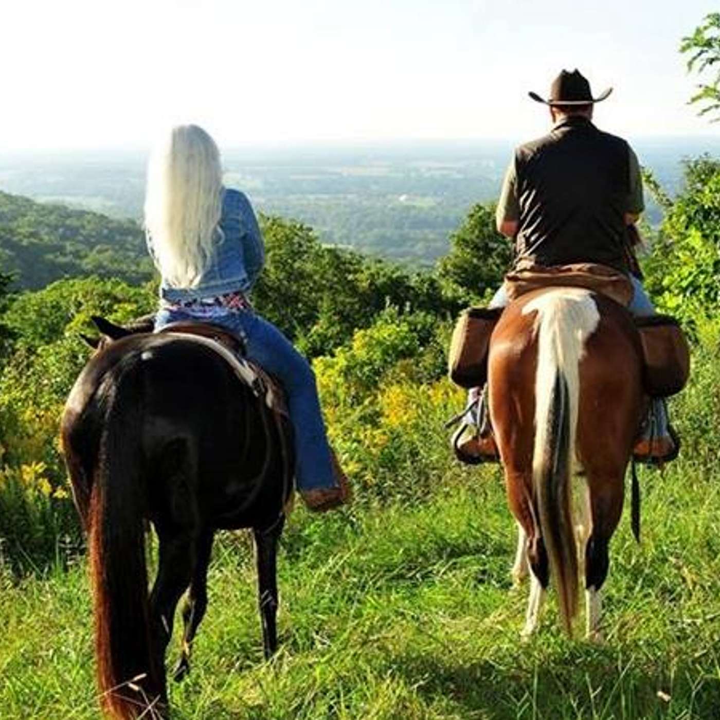 Saddle Up with Us for 