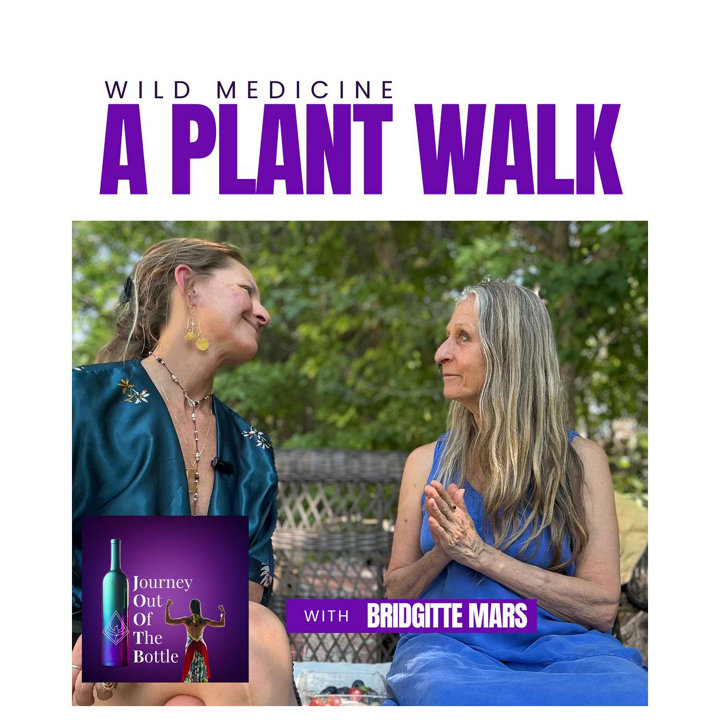 Wild Medicine: A Plant Walk with Herbalist Brigitte Mars episode artwork