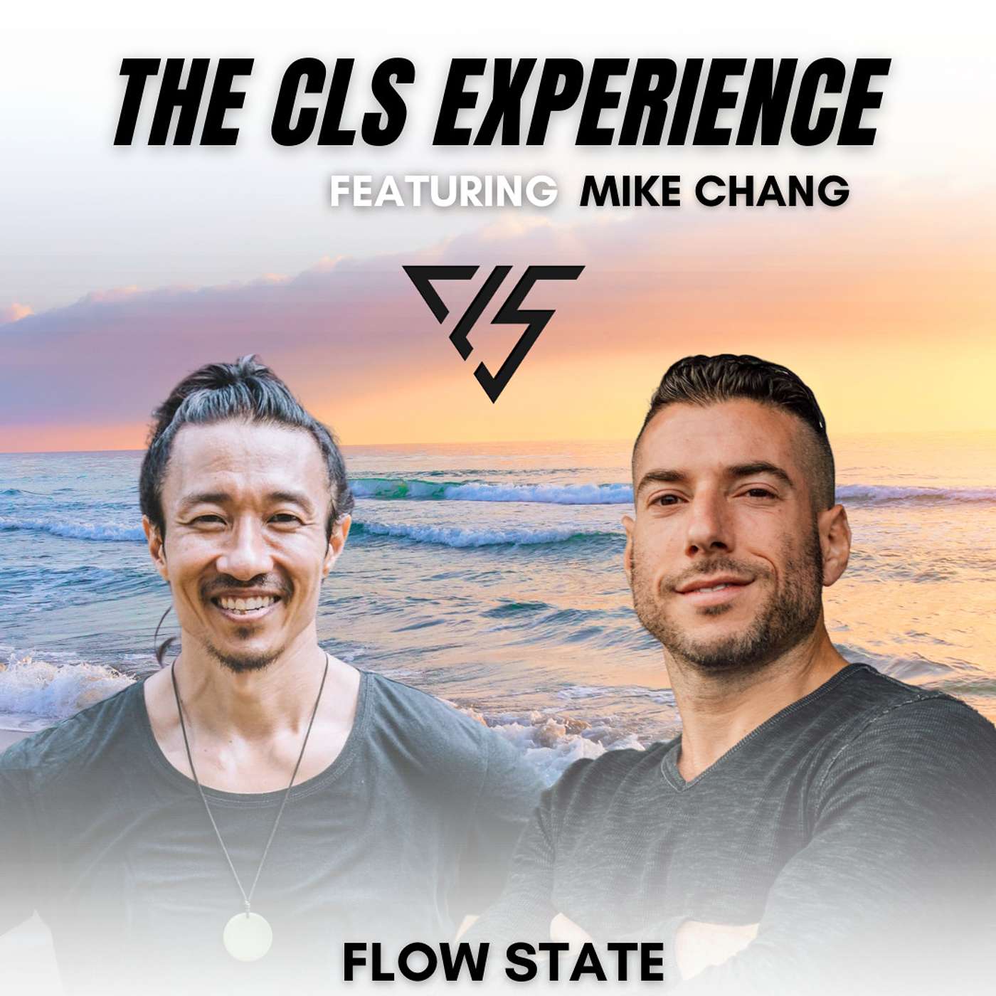 The CLS Experience with Craig Siegel