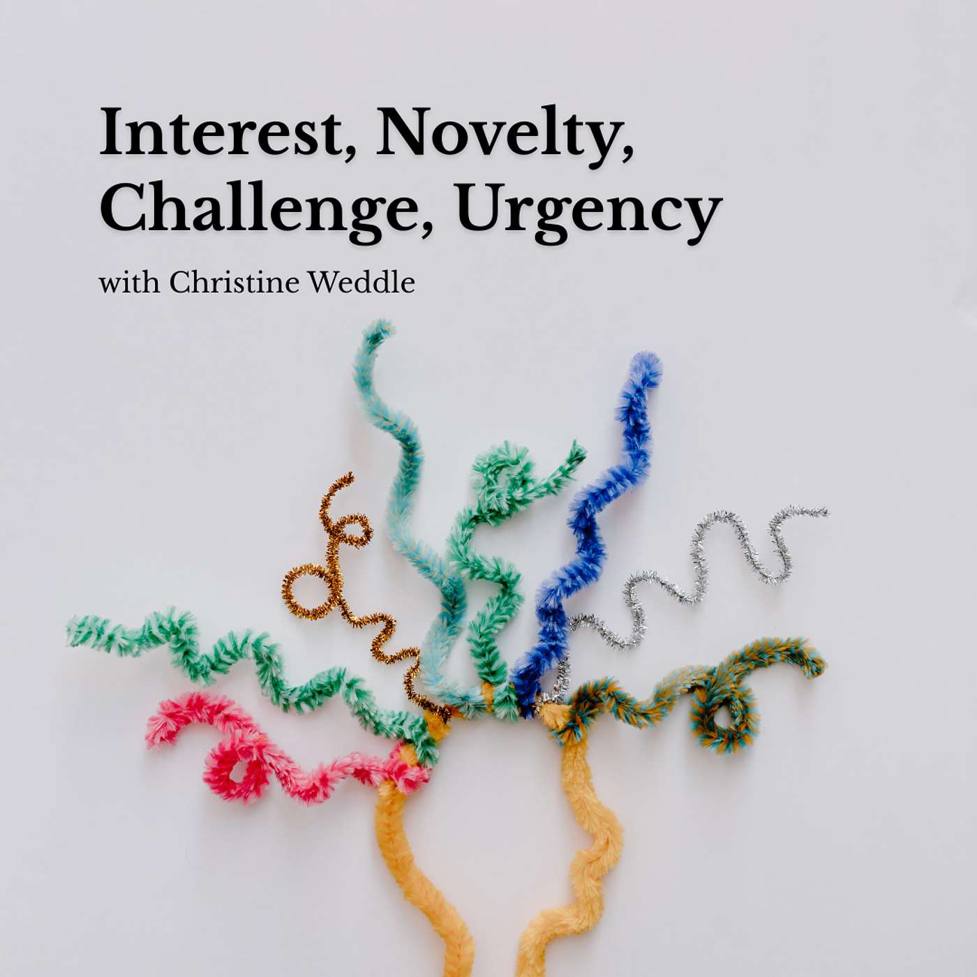 Interest, Novelty, Challenge, Urgency with Christine Weddle episode artwork