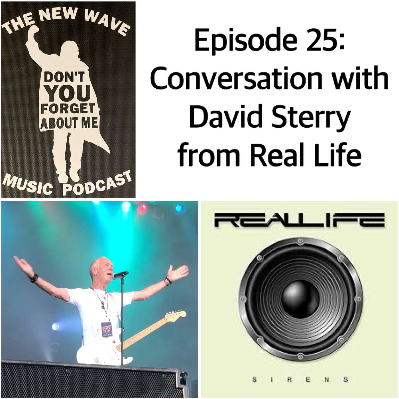 Interview: David Sterry, Lead Singer Of Real Life