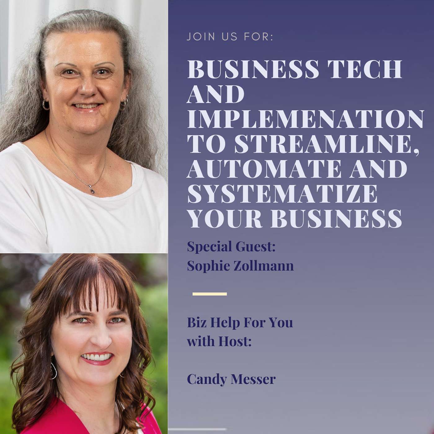 Business Tech and Implemenation to Streamline, Automate and Systematize Your Business