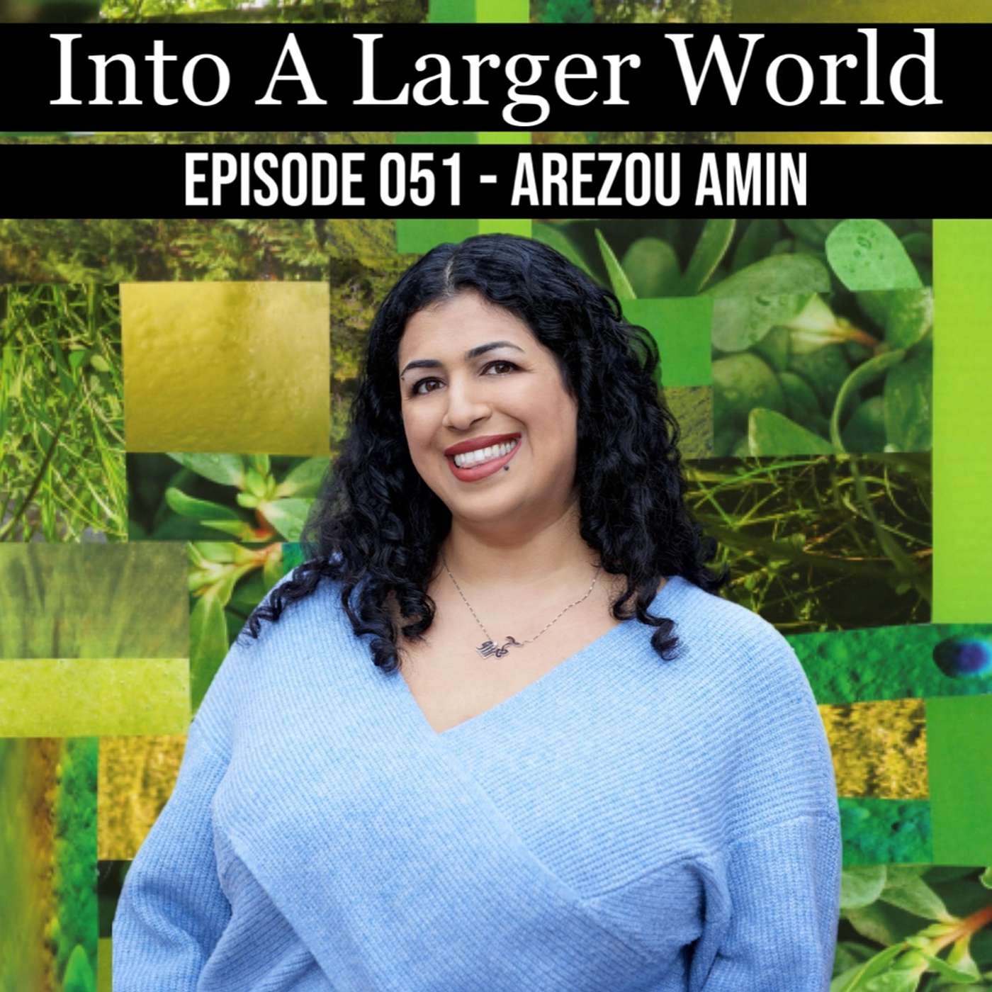 Into A Larger World