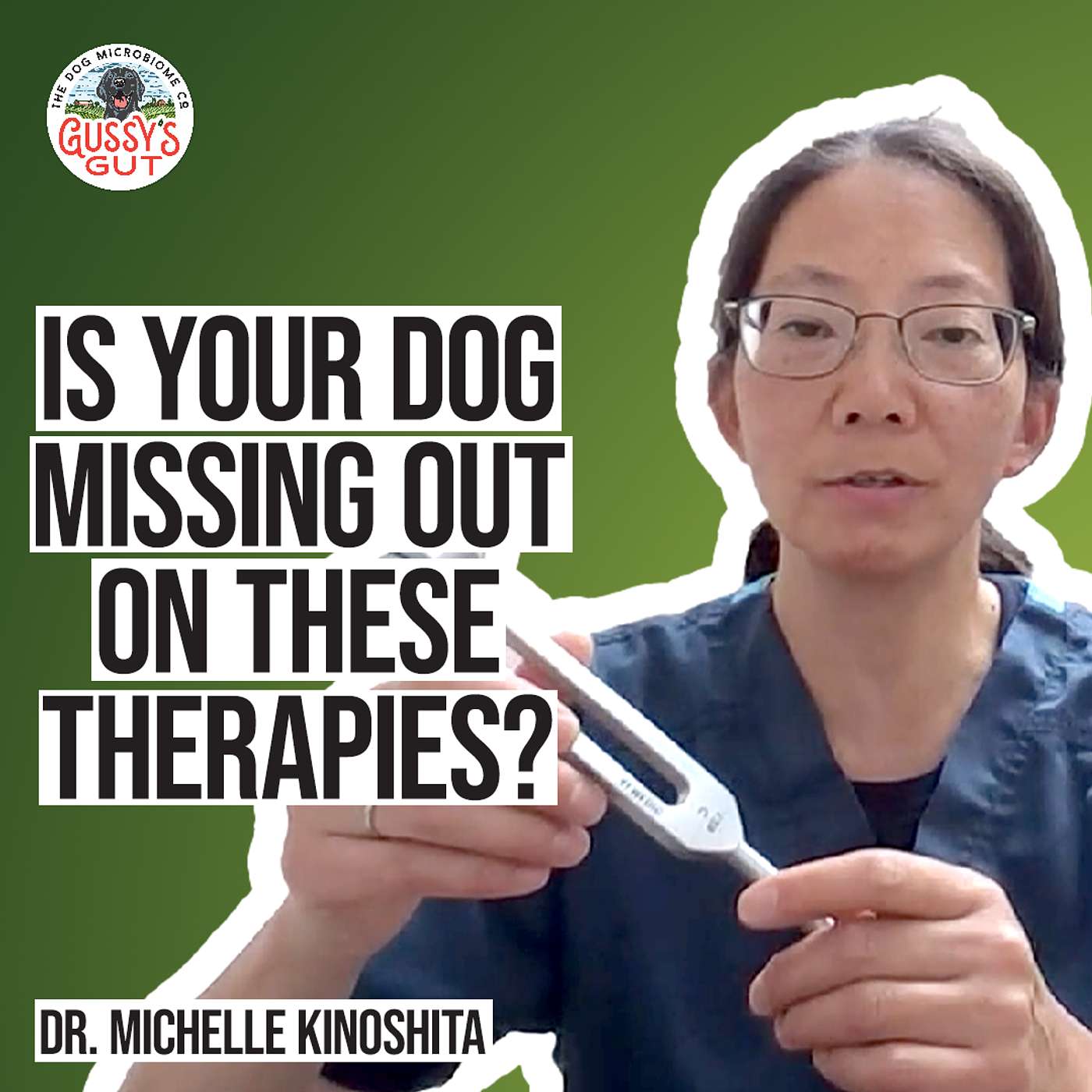 Can Alternative Therapies Transform Your Dog’s Health? - with Dr. Michelle Kinoshita