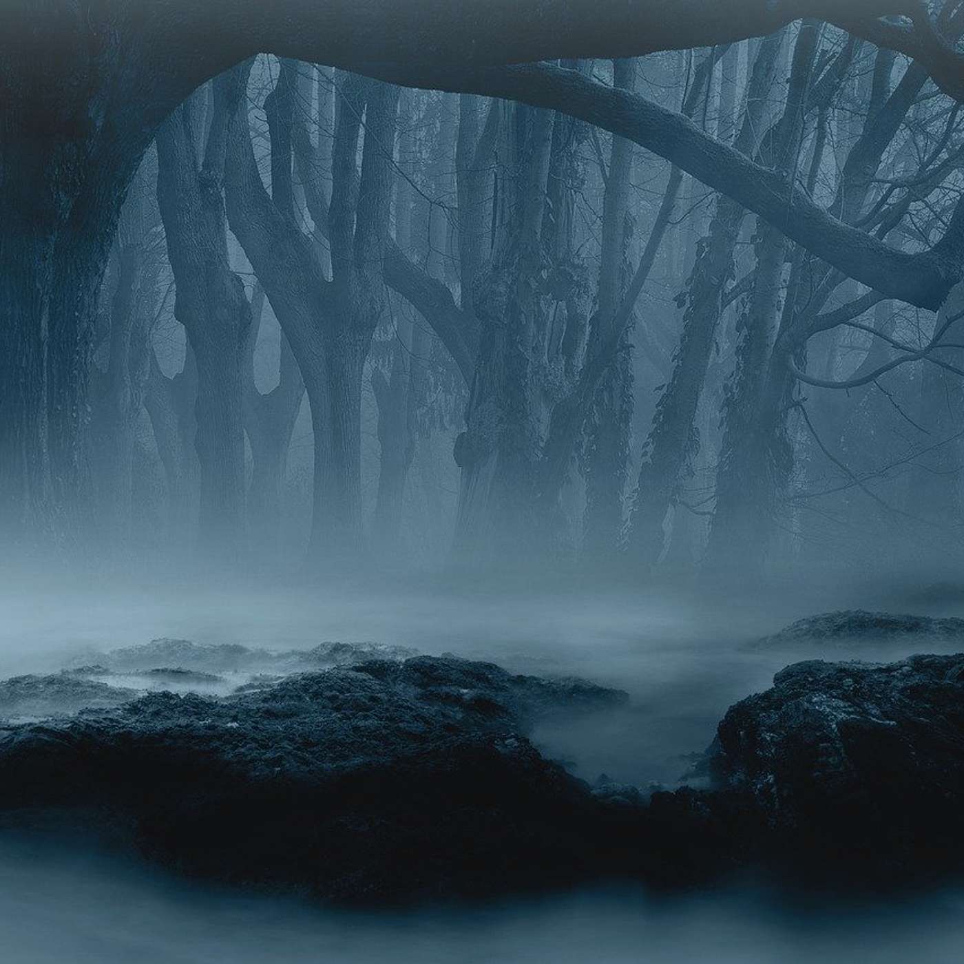 Everyday Life:Conversations Over Coffee