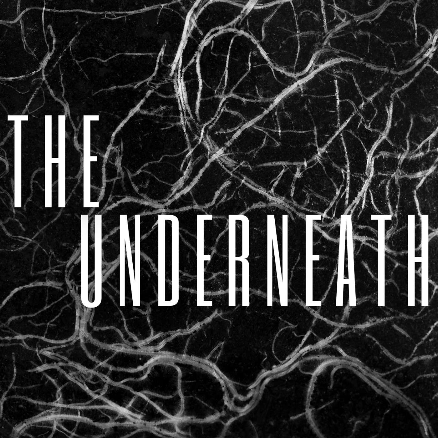 The Underneath