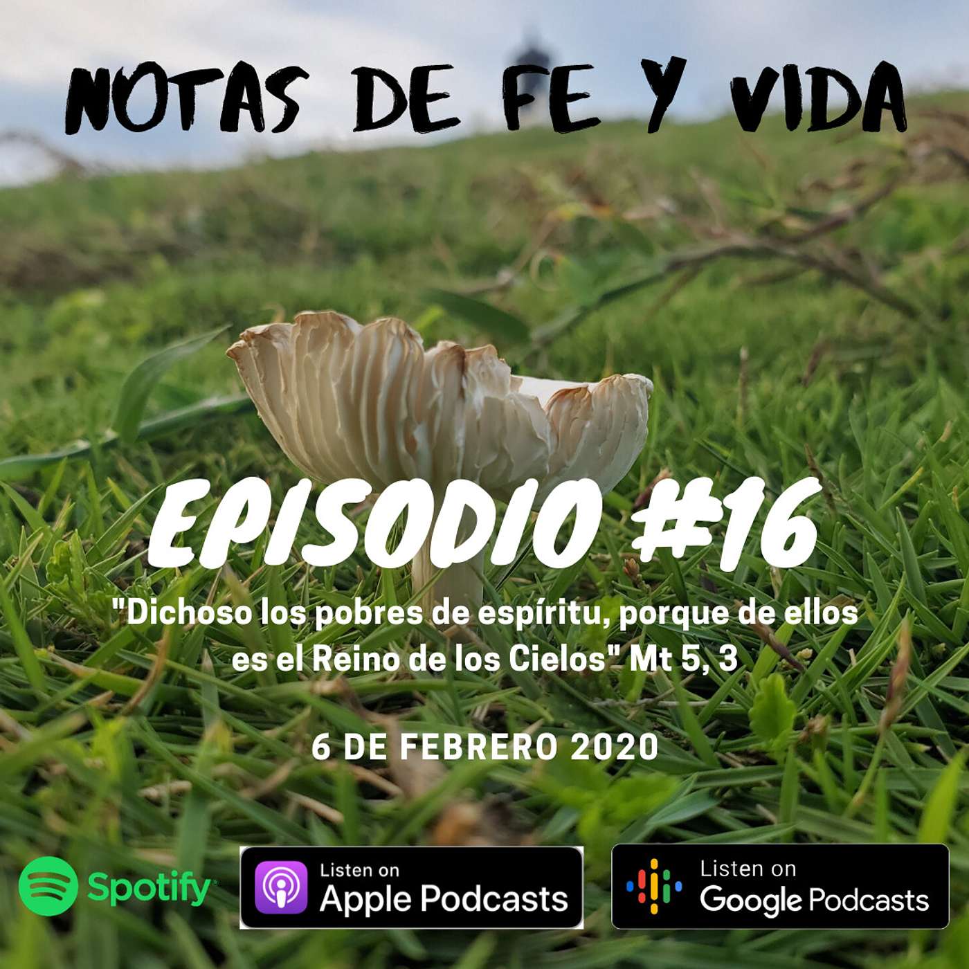 Notas de fe y vida