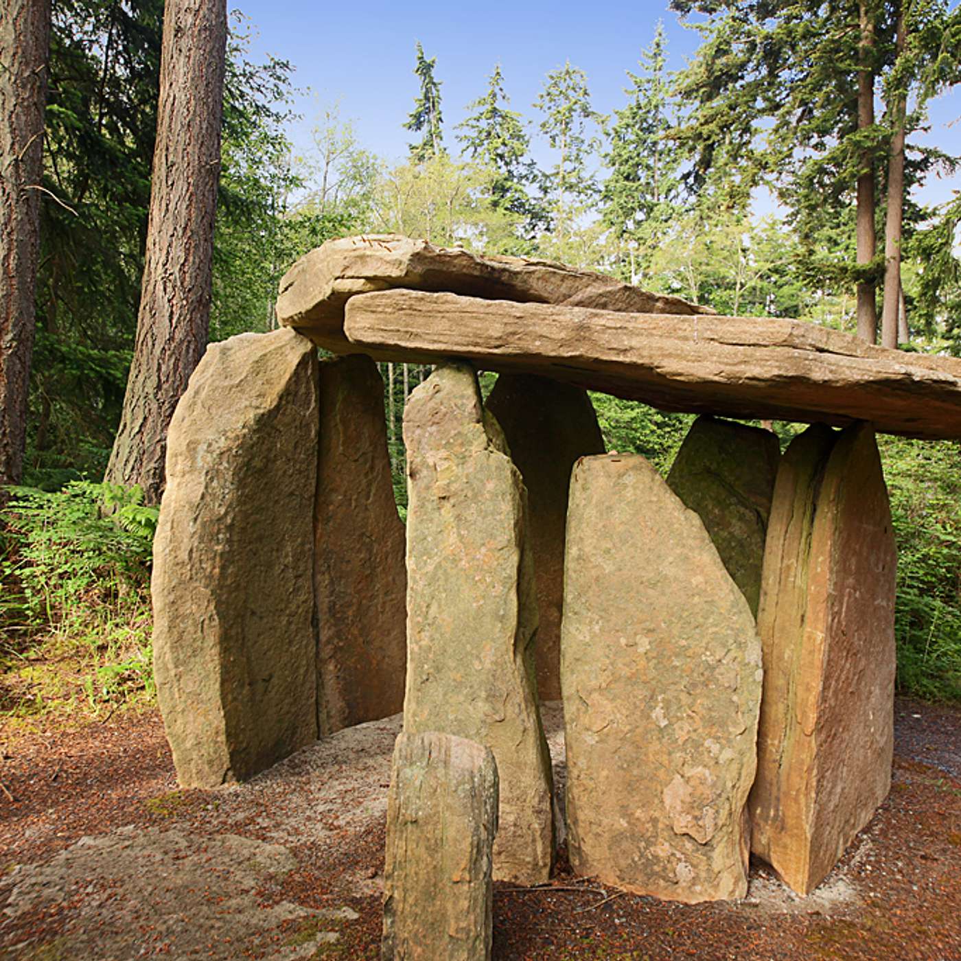 Experience the Magic of Earth Sanctuary with Chuck Pettis