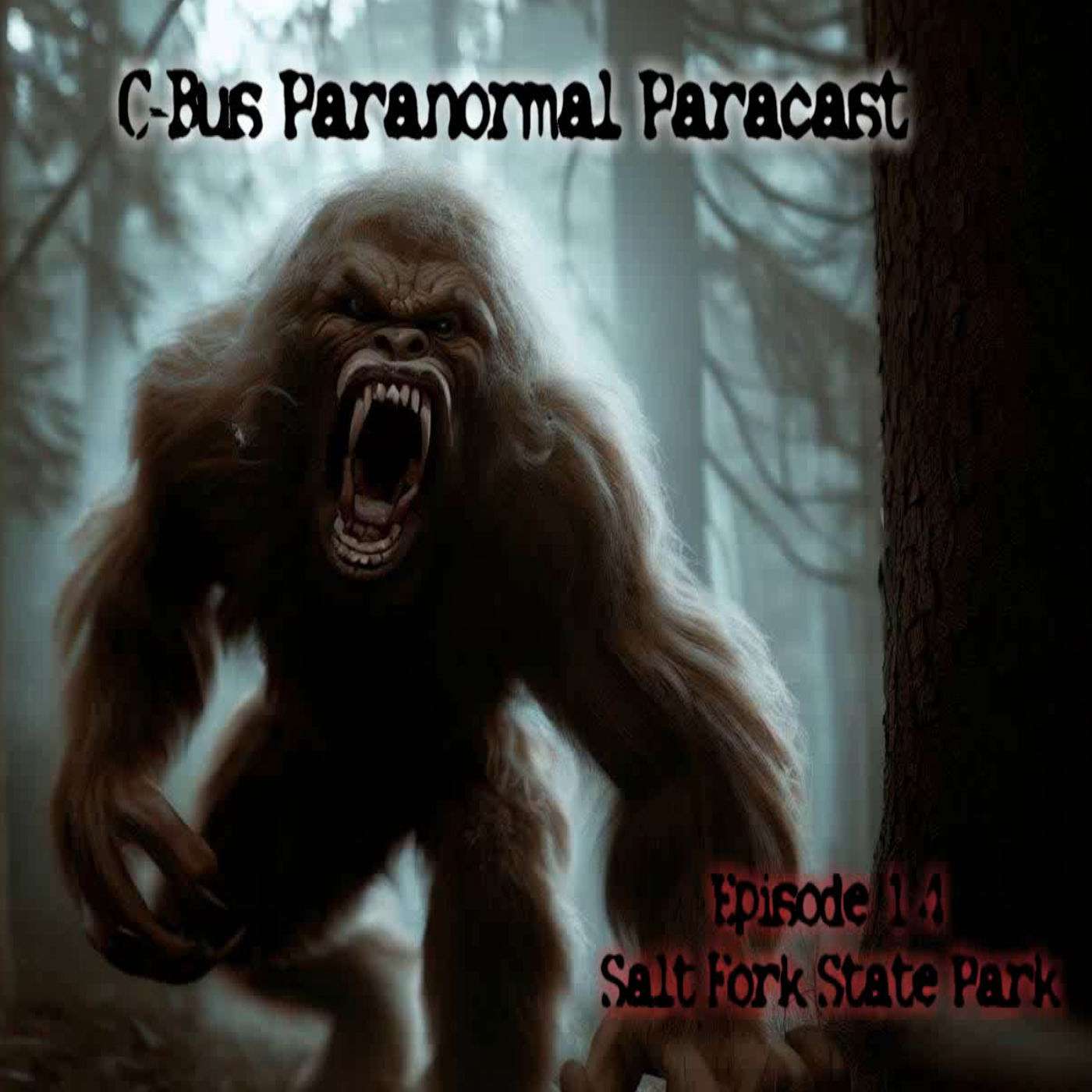 C-Bus Paranormal Paracast