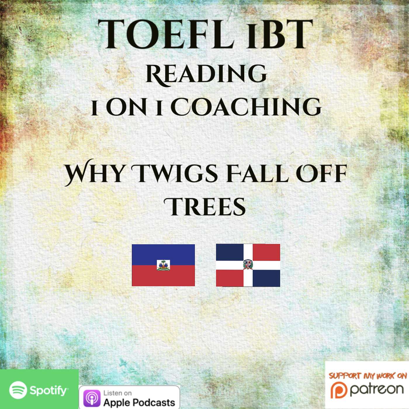 TOEFL iBT | 1 on 1 Coaching | Reading | Why Twigs & Leaves Fall off Trees episode artwork