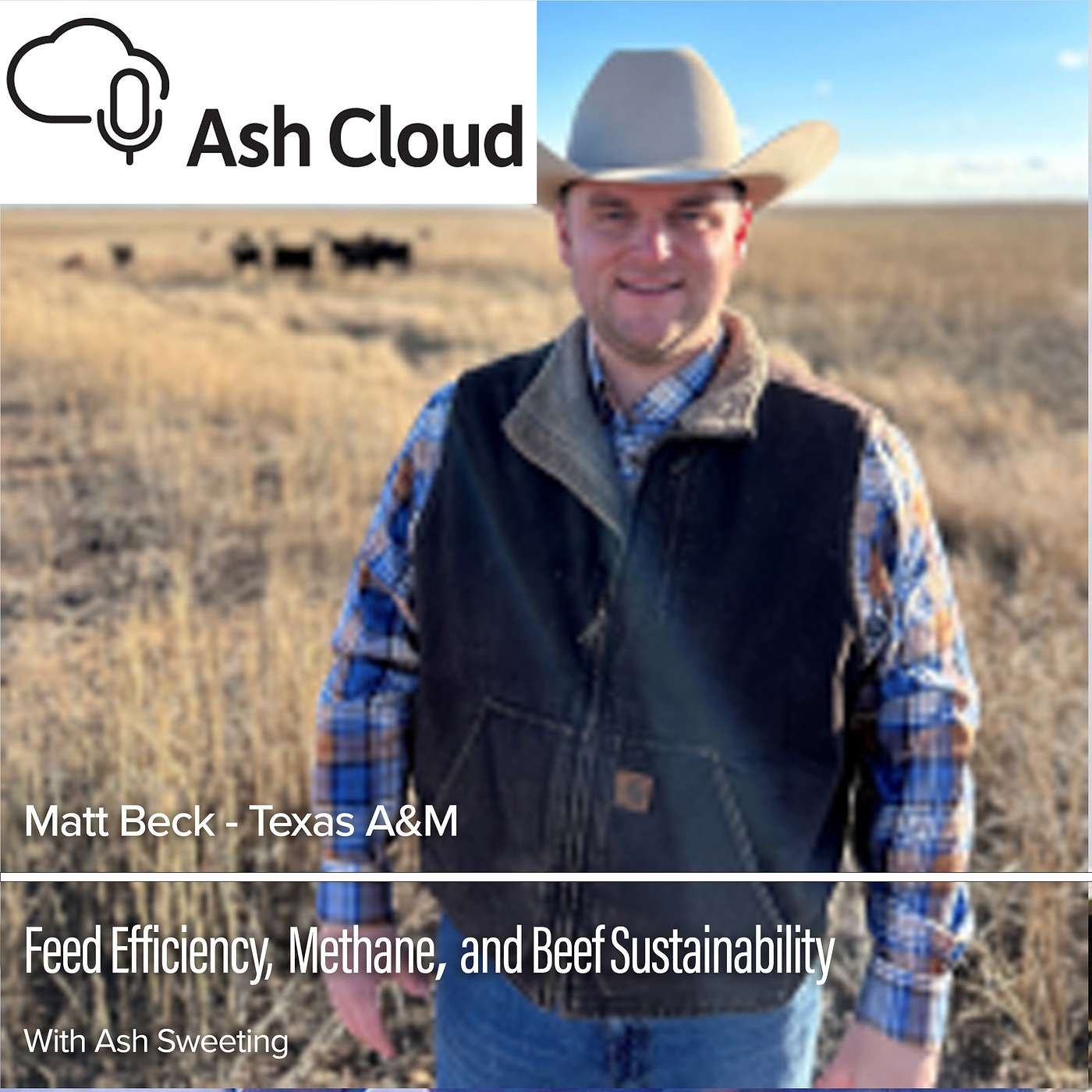Feed efficiency on pasture: The next frontier with Matt Beck, Texas A&M episode artwork