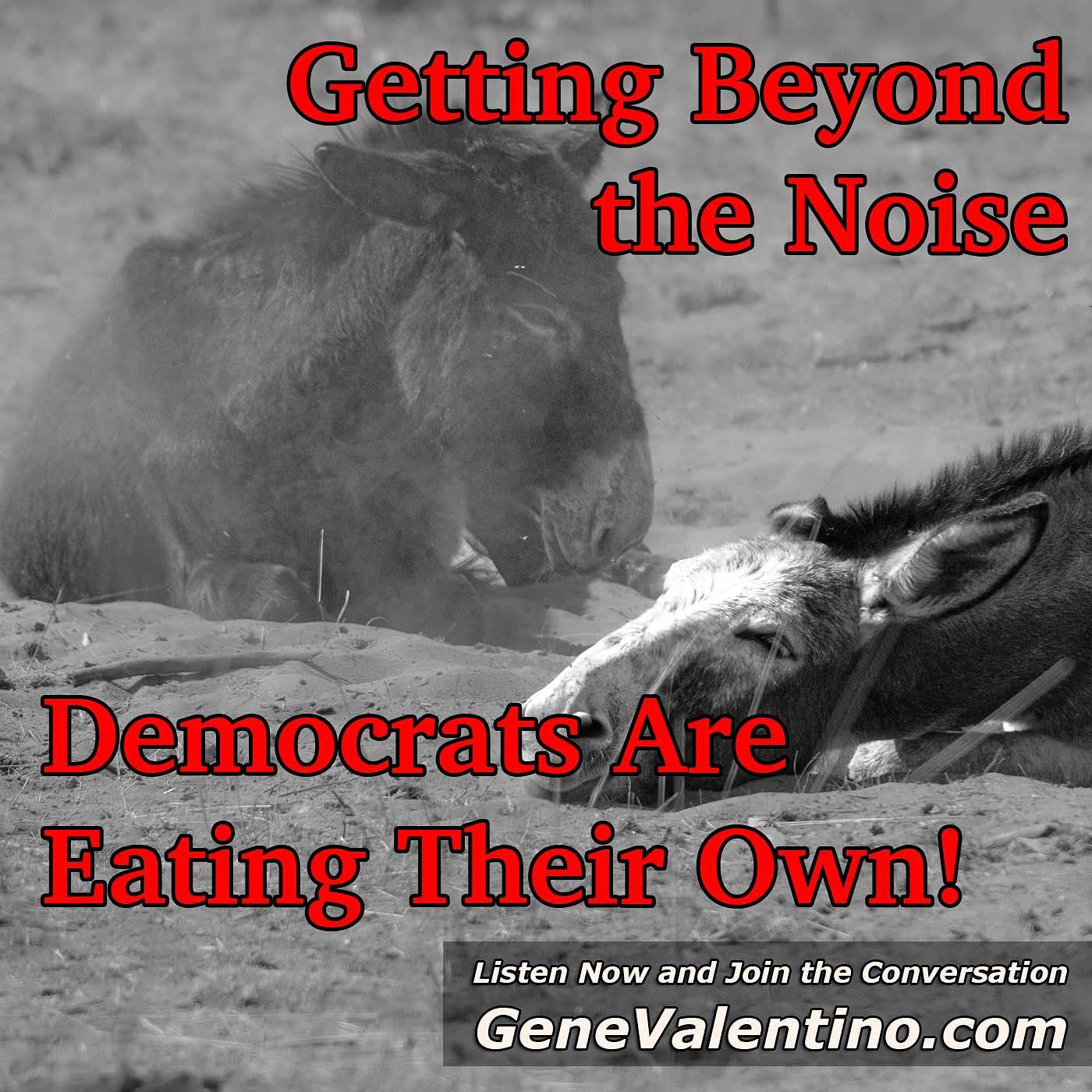 Getting Beyond the Noise ~ Democrats Are Eating Their Own!