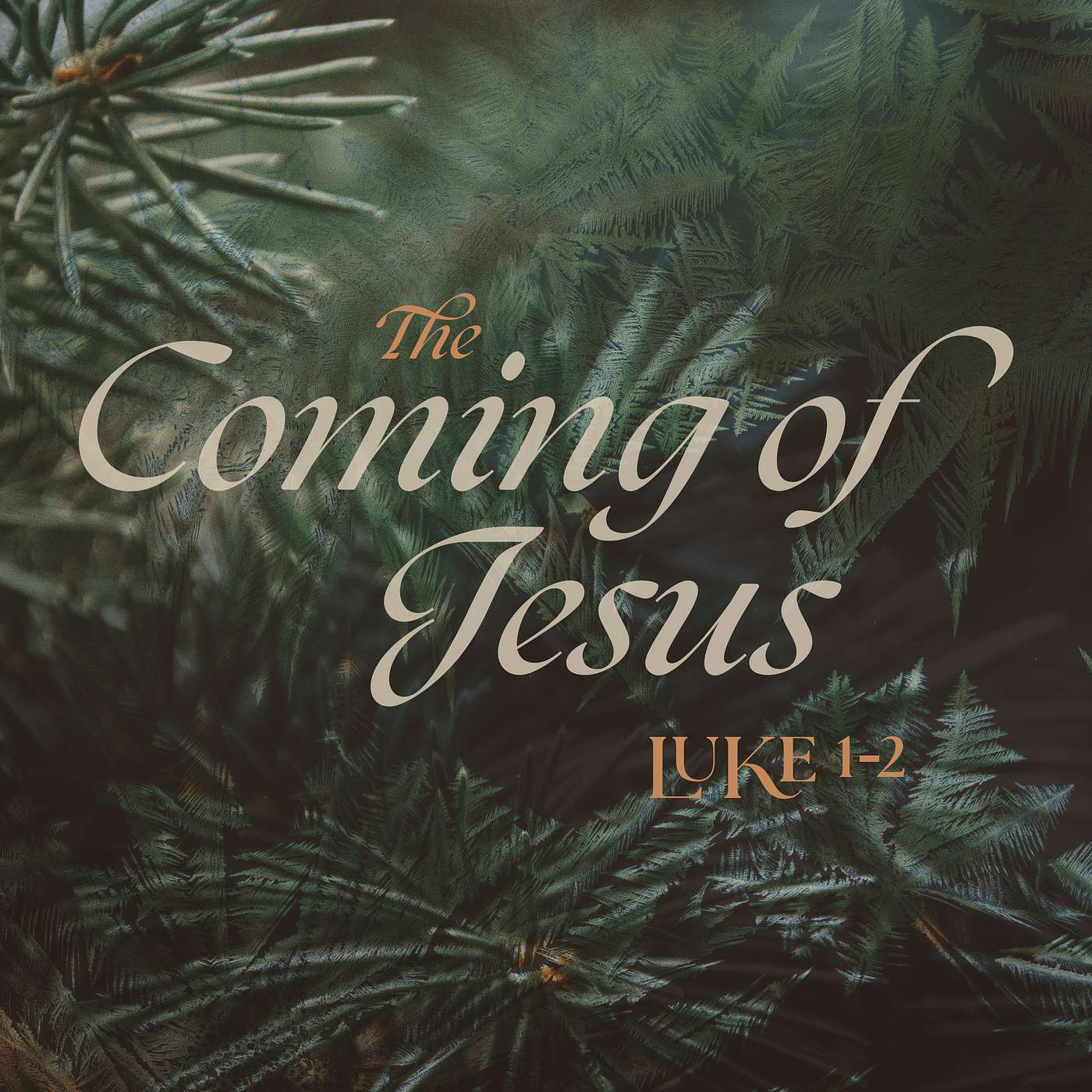 Redemption Story Church