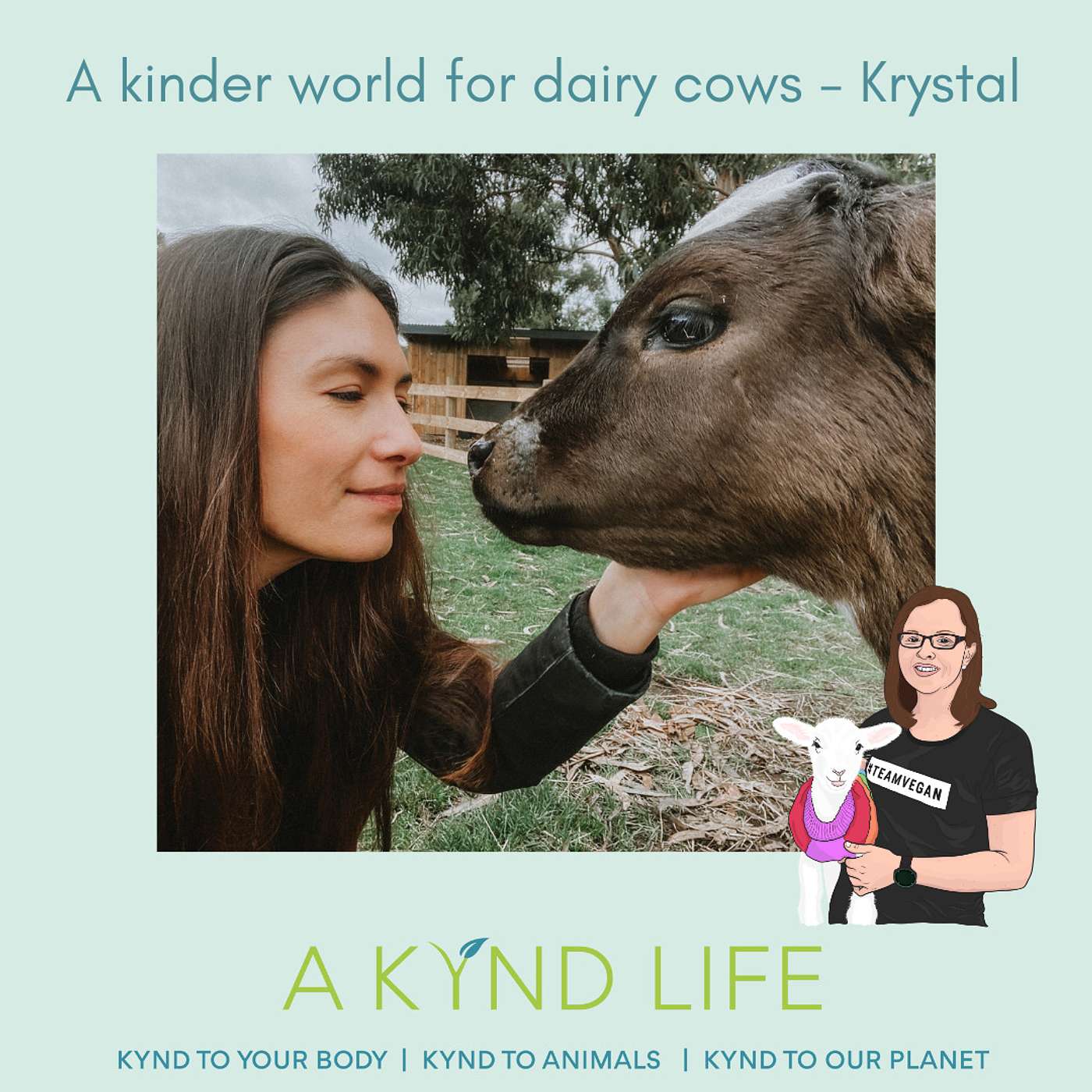A kinder world for dairy cows - Krystal, Companion Cows & Farm Transitions Australia A kinder world for dairy cows - Krystal, Companion Cows & Farm Transitions Australia
