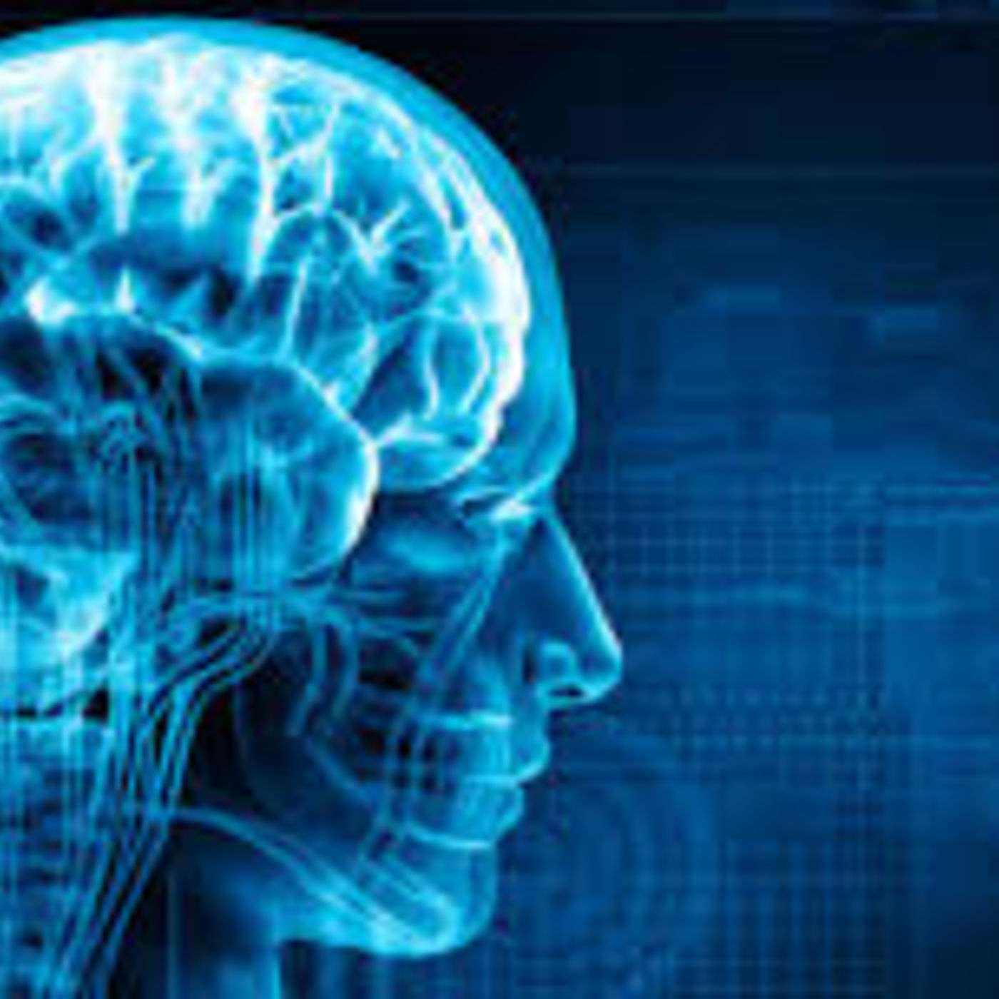 Fighters Guide to Brain Function and Performance: Life of a Fighter LOF Podcast Episode 89 episode artwork