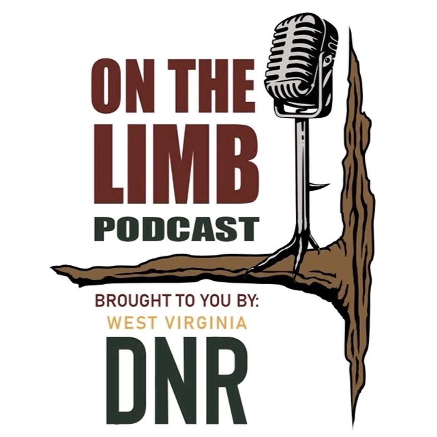 On the Limb Podcast