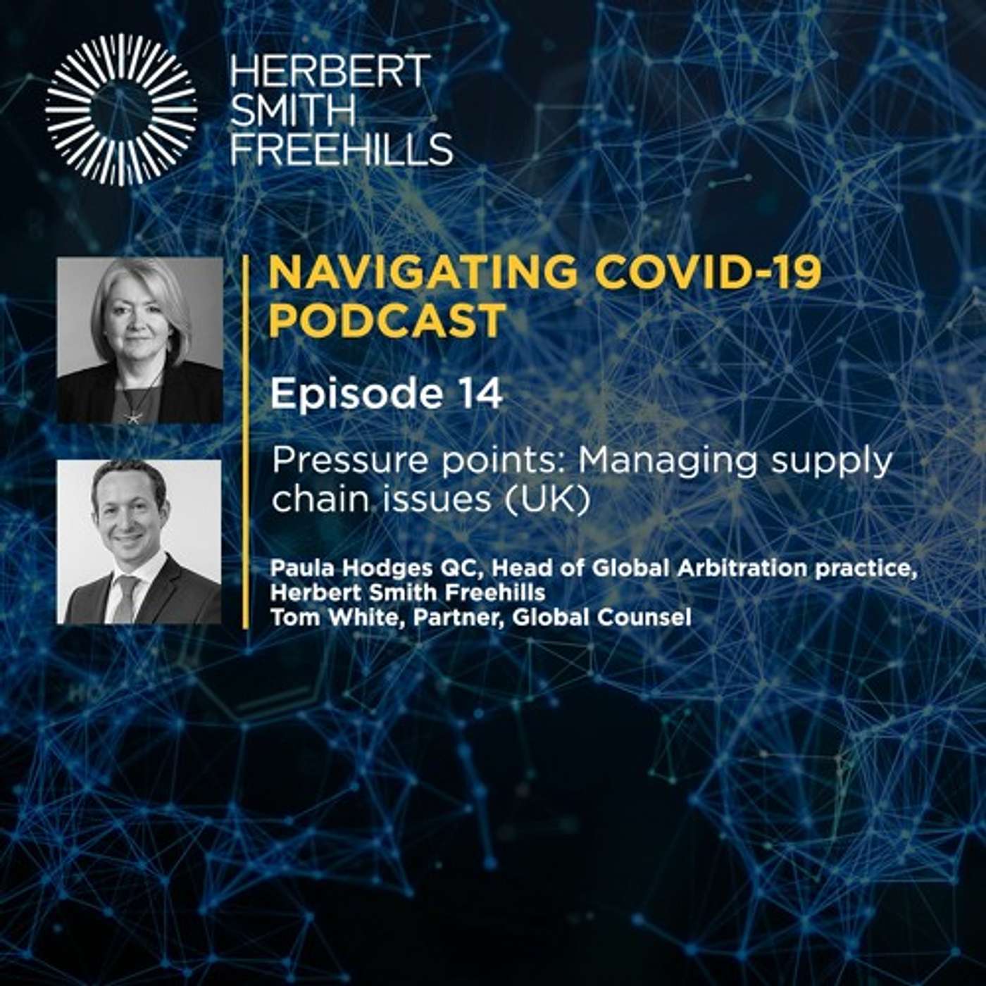 EP14 COVID-19: Pressure Points: Managing Supply Chain Issues (UK) episode artwork