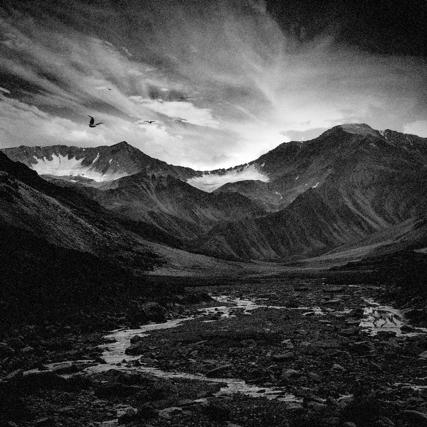 The Arctic Wildlife Refuge