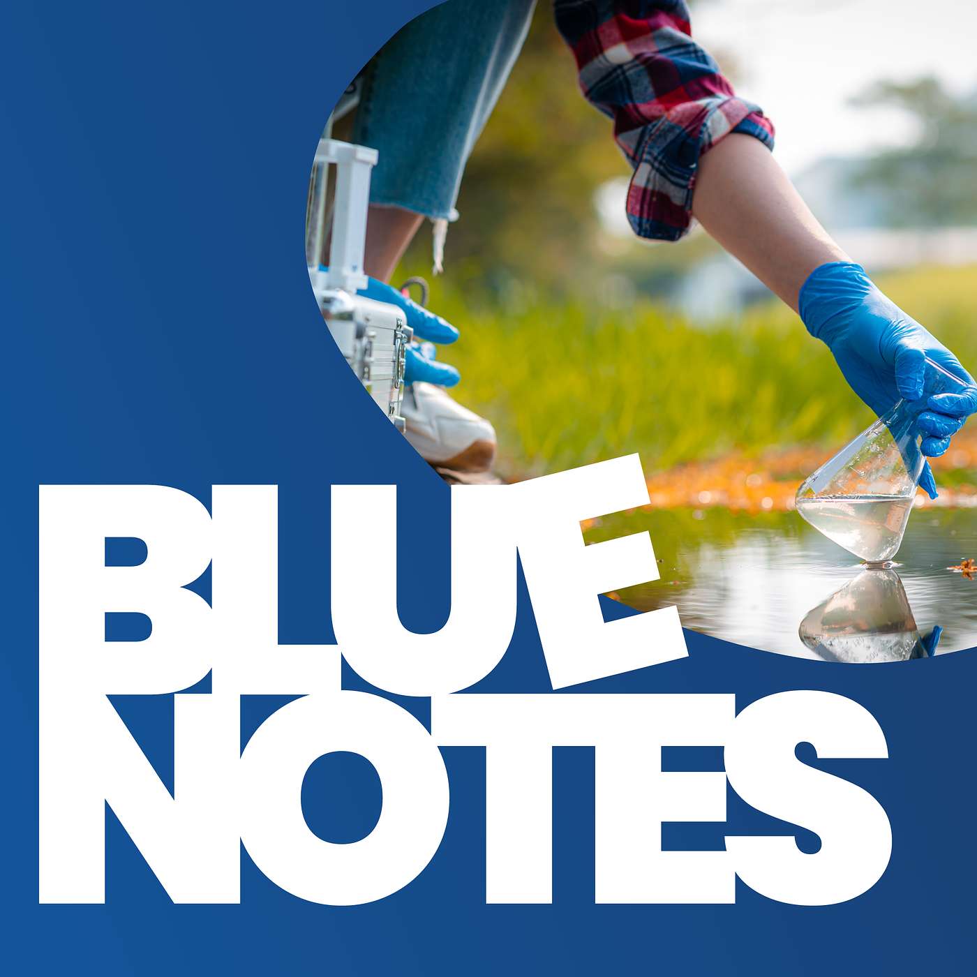 BlueNotes