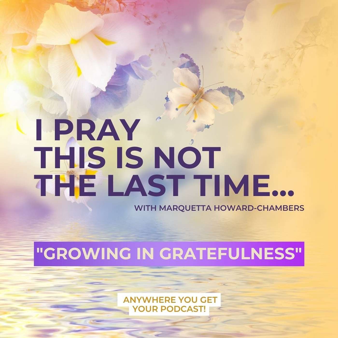 Segment 004 | Growing In Gratefulness episode artwork