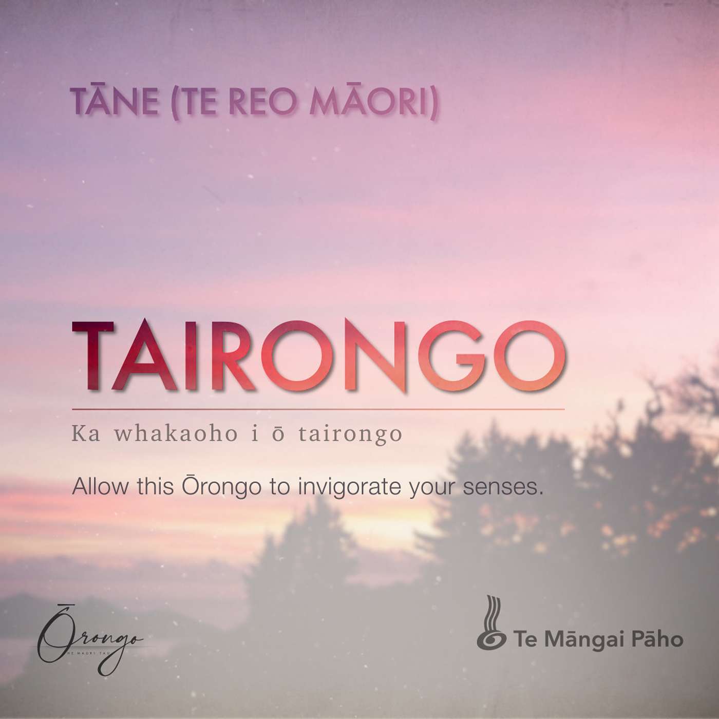 TAIRONGO - Tāne (Te Reo Māori)