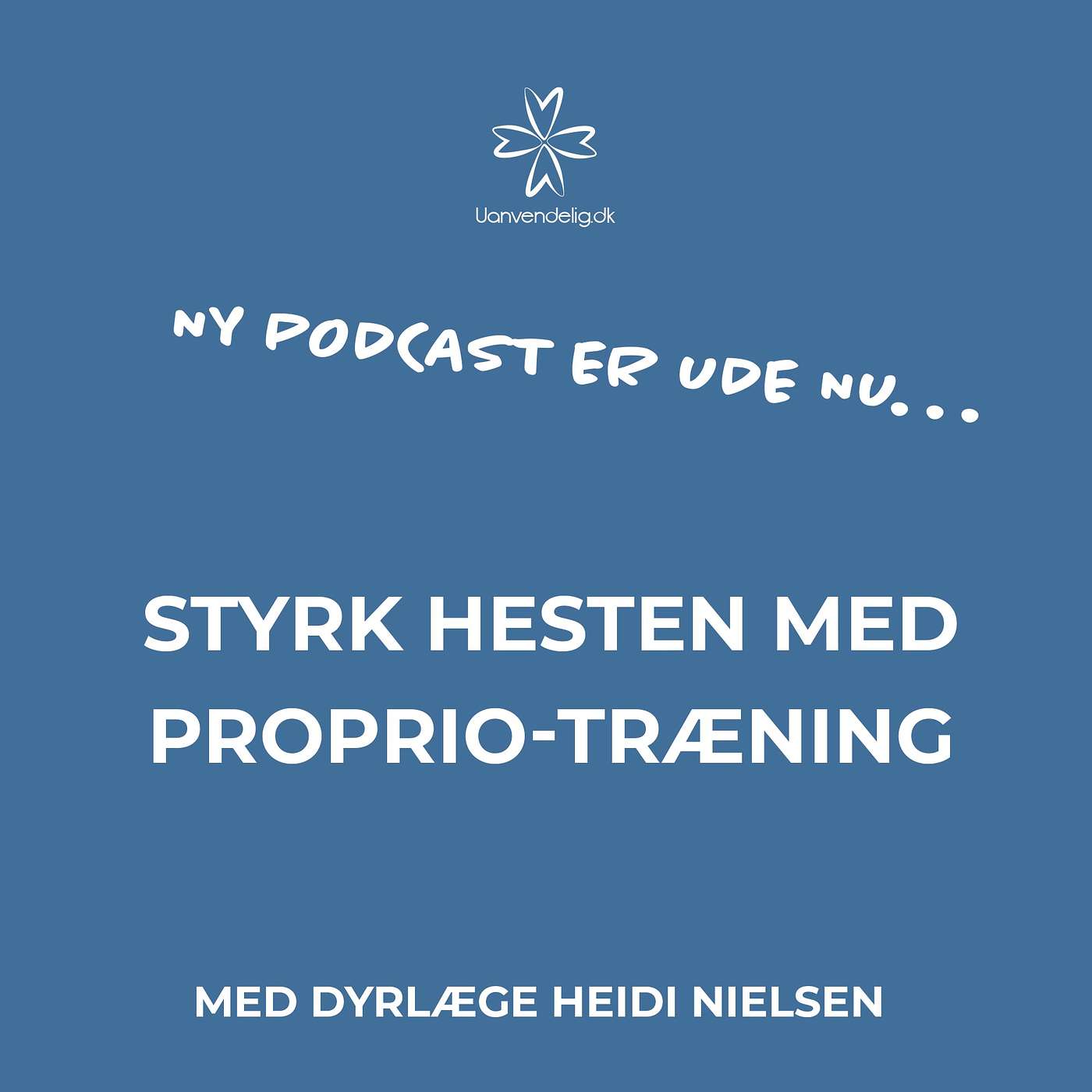 Styrk hesten med propriotræning - Med dyrlæge Heidi Nielsen