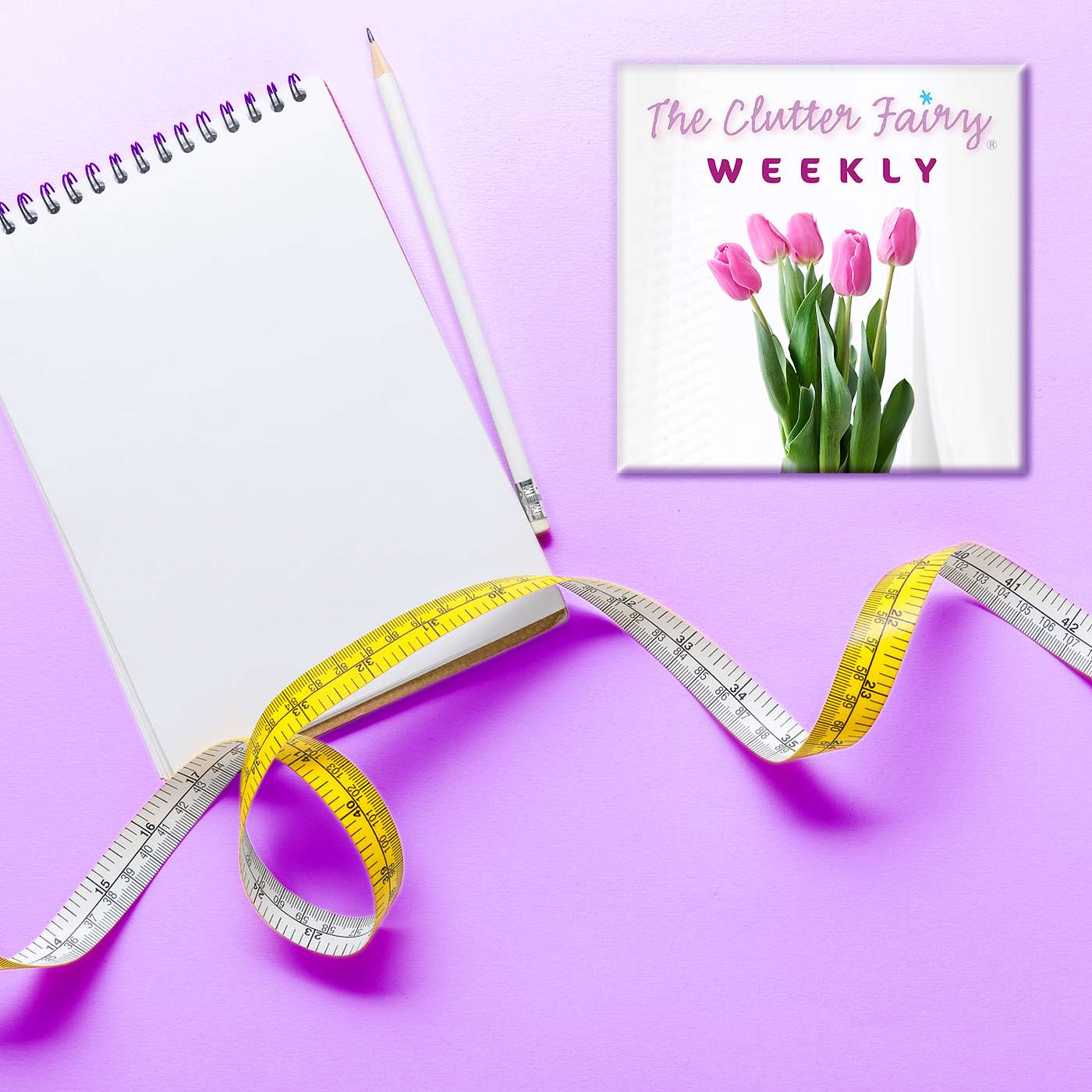 The Clutter Fairy Weekly #28 - Metrics and Milestones: Measuring Your Organizing Progress