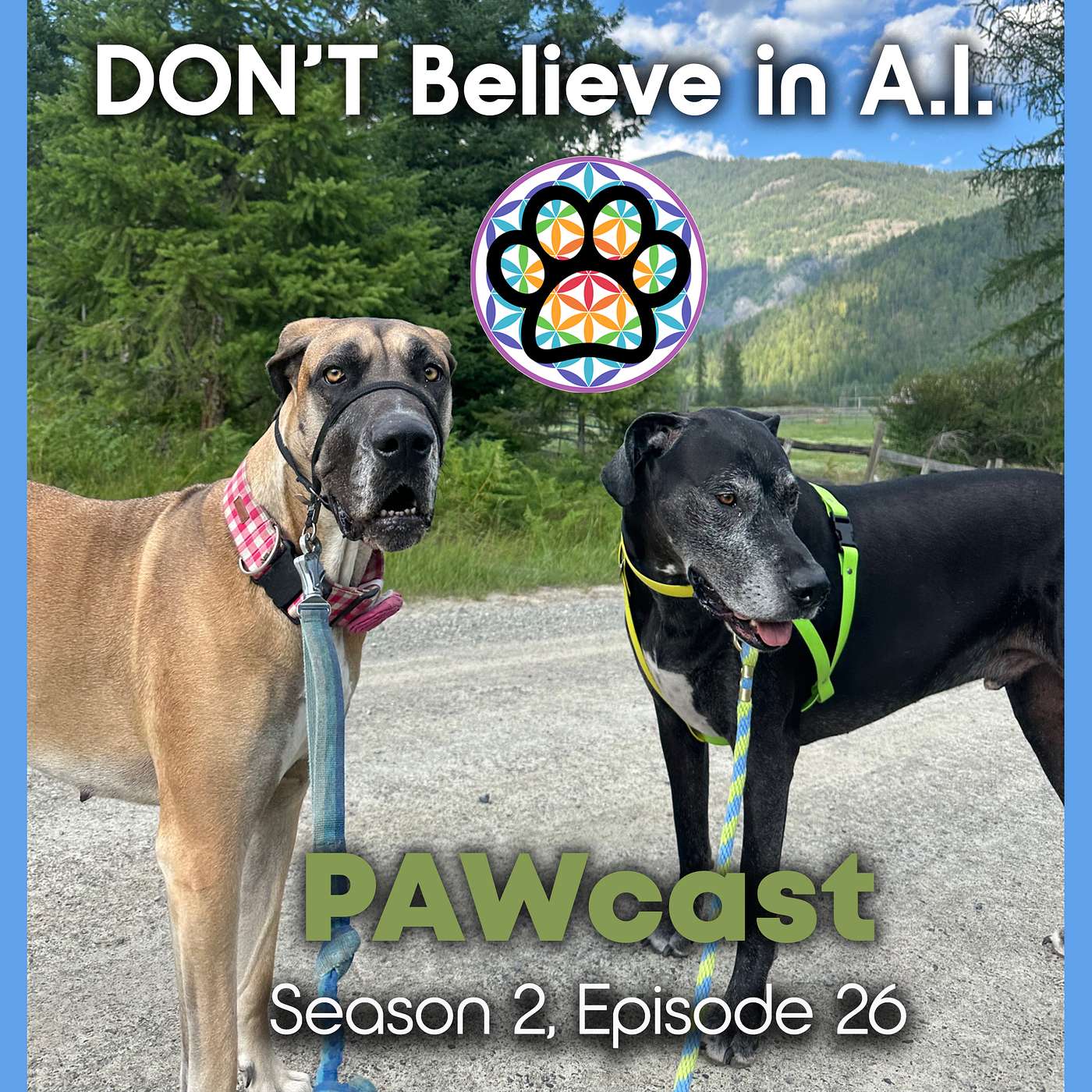 26: Dogs Against the Unleashing of Artificial Intelligence - Sovereignty is NOT AI episode artwork