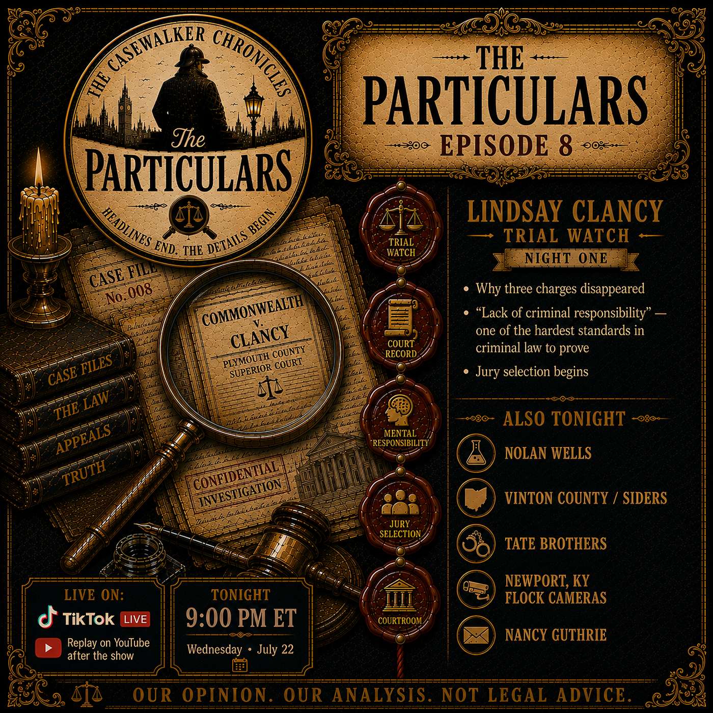 Flock Camera Misidentification, the Tate Extradition & the Lindsay Clancy Trial | The Particulars Ep. 8 episode artwork