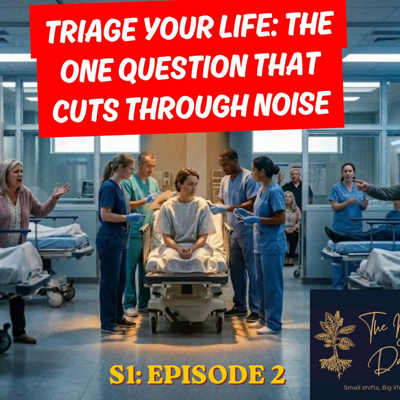 2. Triage Your Life: The One Question That Cuts Through Noise episode artwork