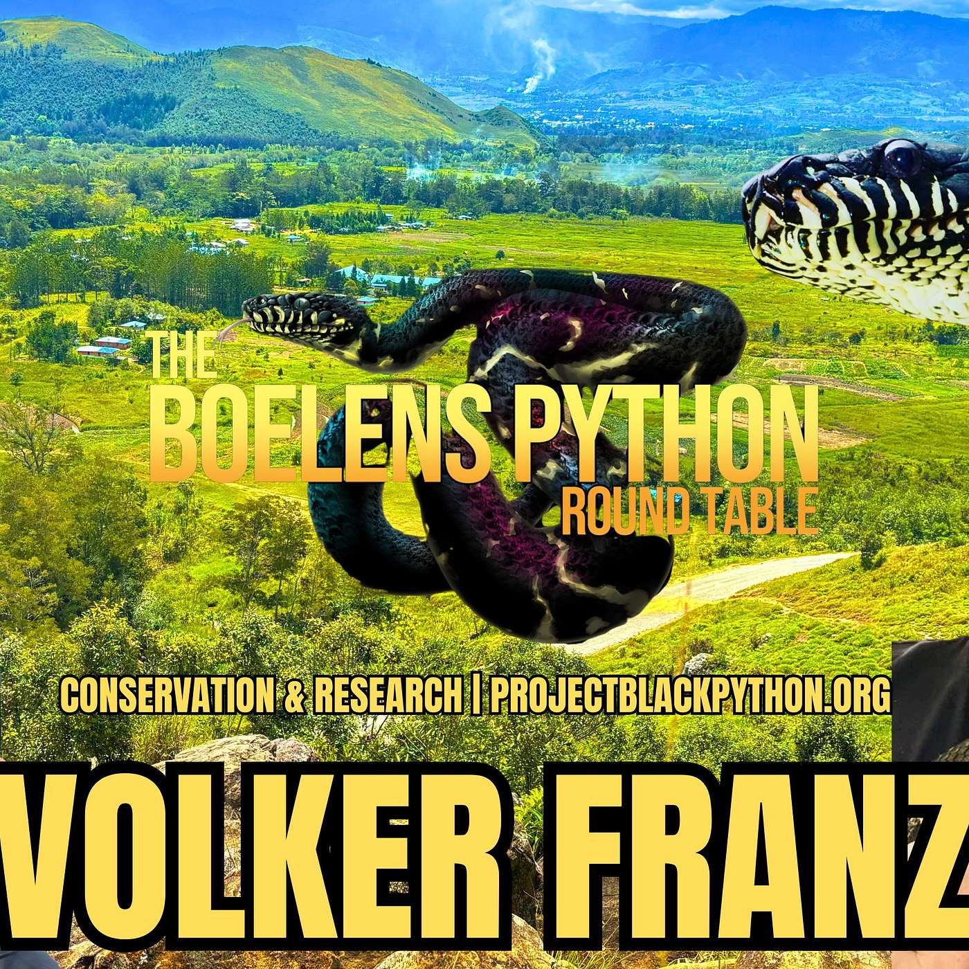 Episode 19: The Road to Repeated Success: Breeding Boelen’s Pythons in Germany with Volker Franz episode artwork