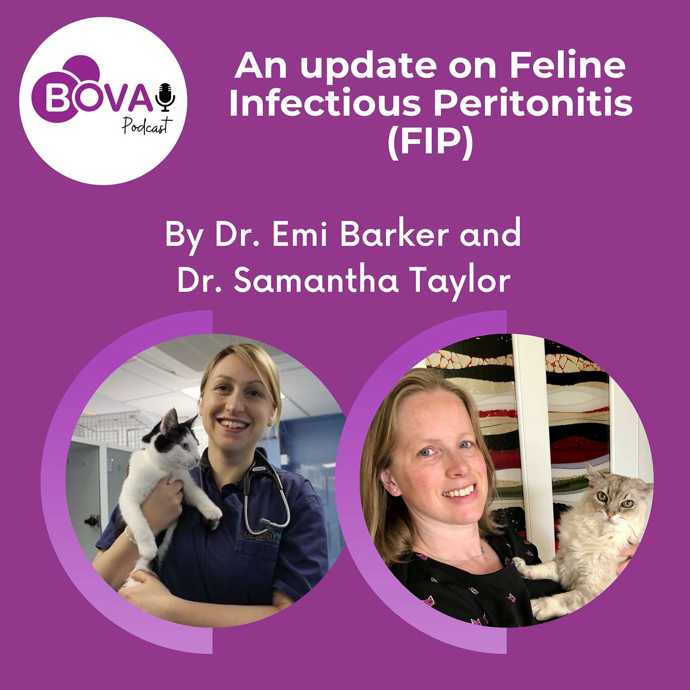 An update on Feline Infectious Peritonitis (FIP)