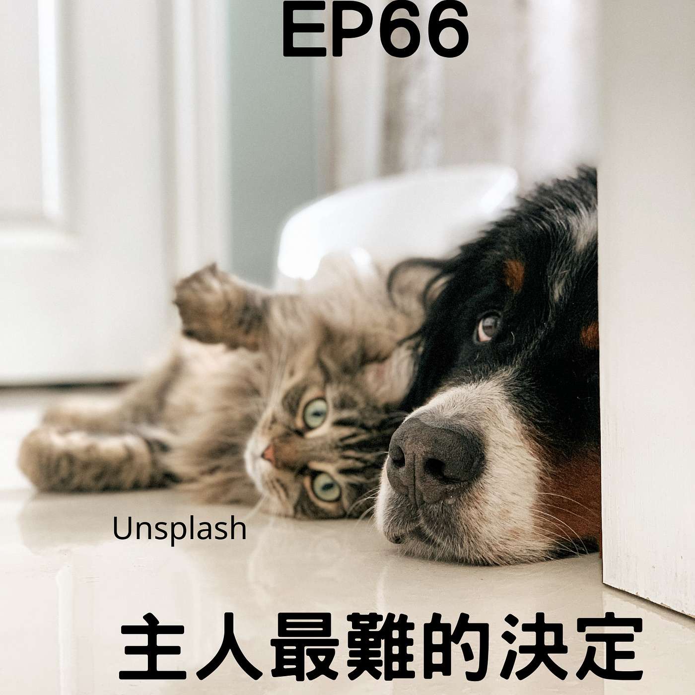 【Podcast】從0到1媒體人X斜槓 EP66 到底要不要開刀？主人最難的決定＆醫生最怕遇到的事 (柚子貍&安妮動物園) episode artwork