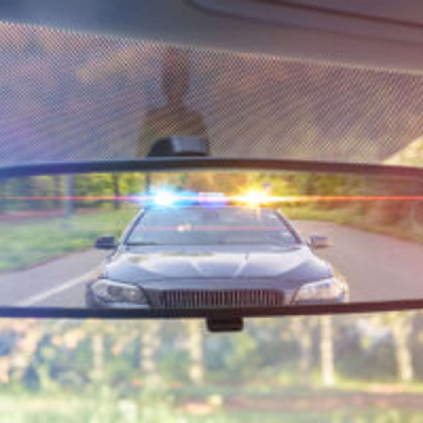 What Caused the Heavy Police Presence on Willow Creek Road?