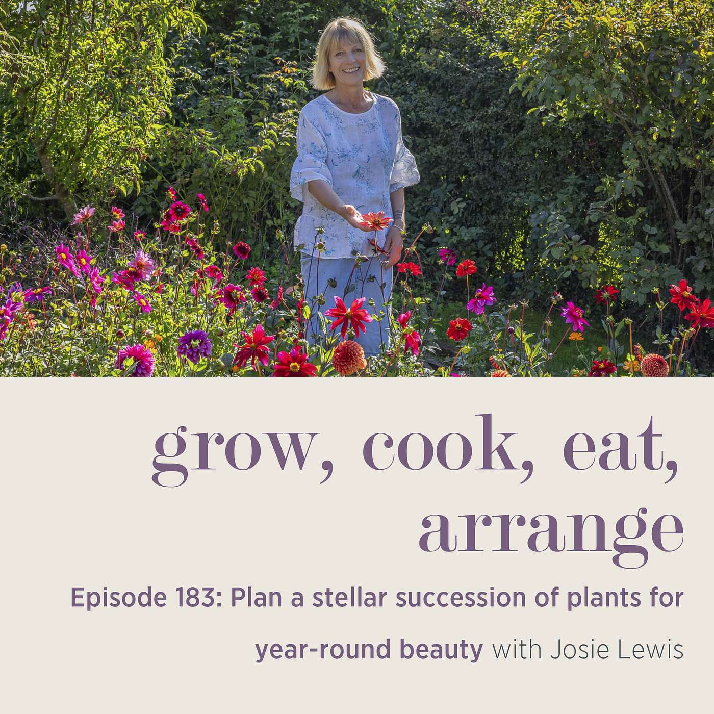 Plan a stellar succession of plants for year-round beauty with Josie Lewis - Episode 183