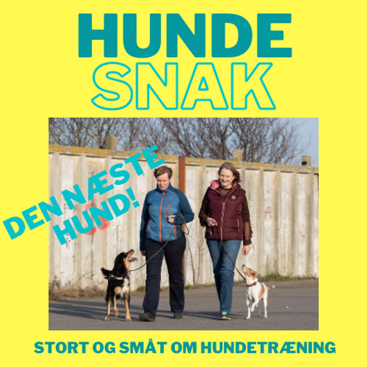 03 Hvad skal din næste hund lære? 03 Hvad skal din næste hund lære?
