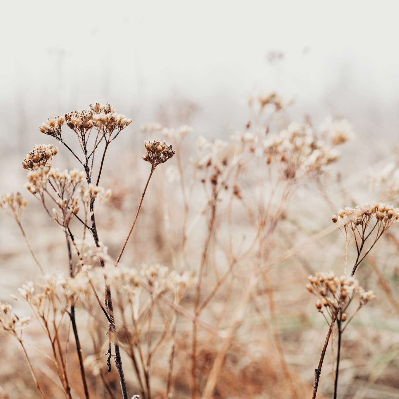 289. Transitions and New Beginnings: Embracing Life's Cycles