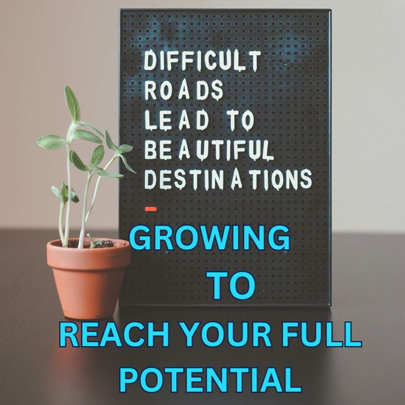 Episode 12 - Growing To Reach Your Full Potential