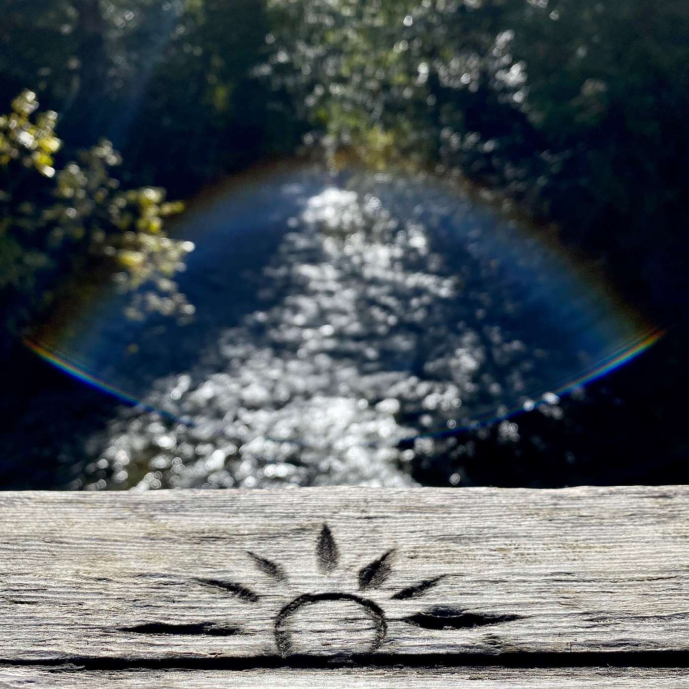 The REAL mission of Starseeds and Lightworkers, where is your focus?