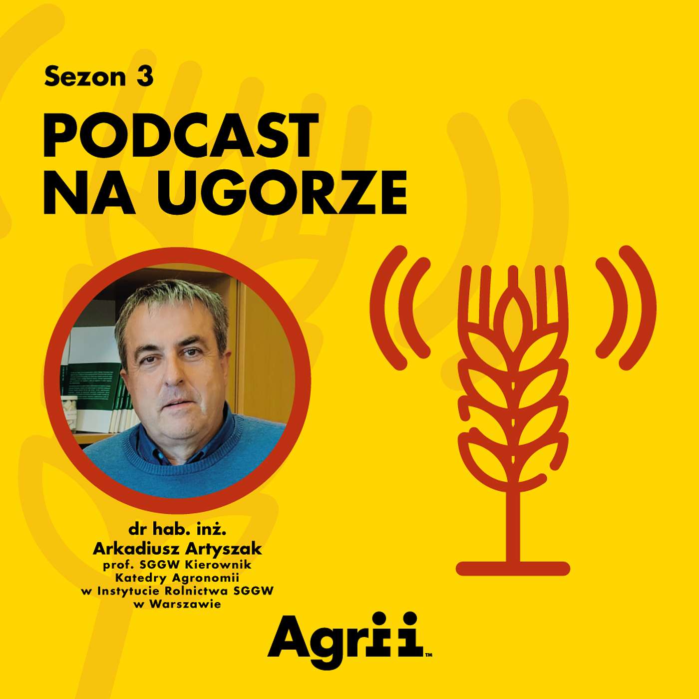 Krzem w rolnictwie – hit czy kit? | dr hab. inż. Arkadiusz Artyszak, prof. SGGW Kierownik Katedry Agronomii w Instytucie Rolnictwa SGGW w Warszawie