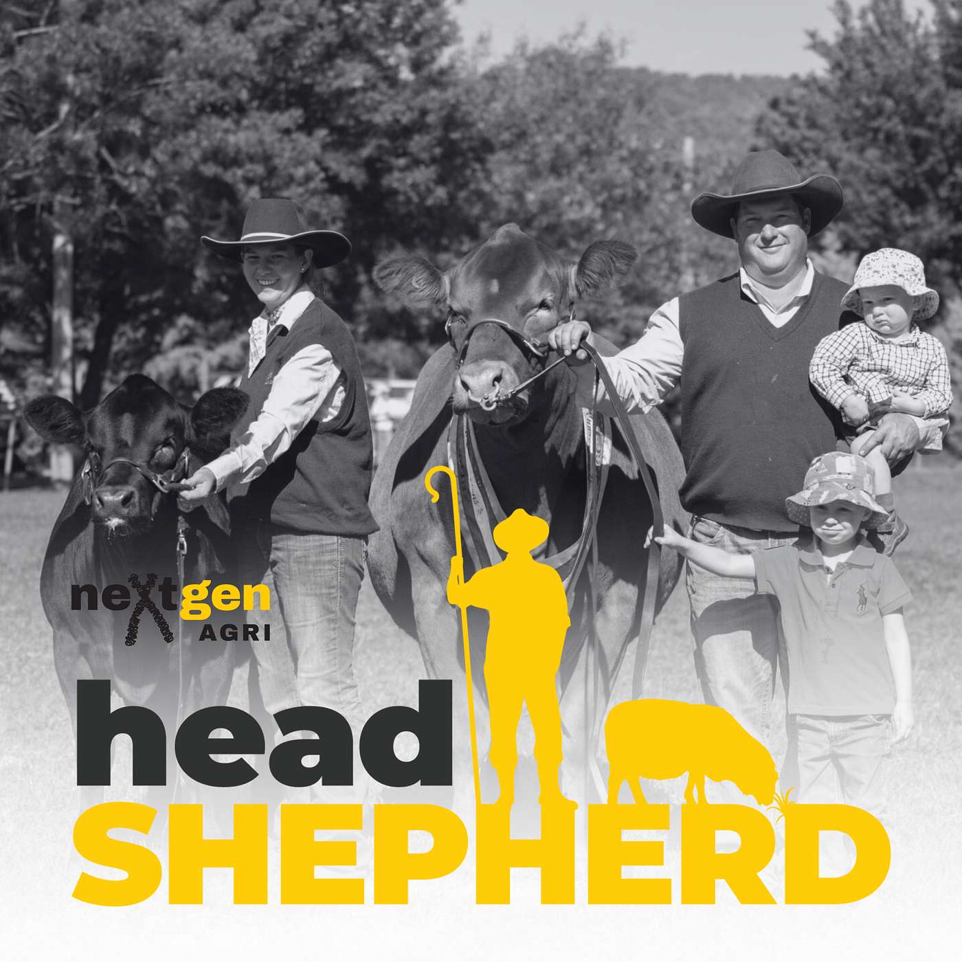 How to Start a Cattle Business with Summit Livestock