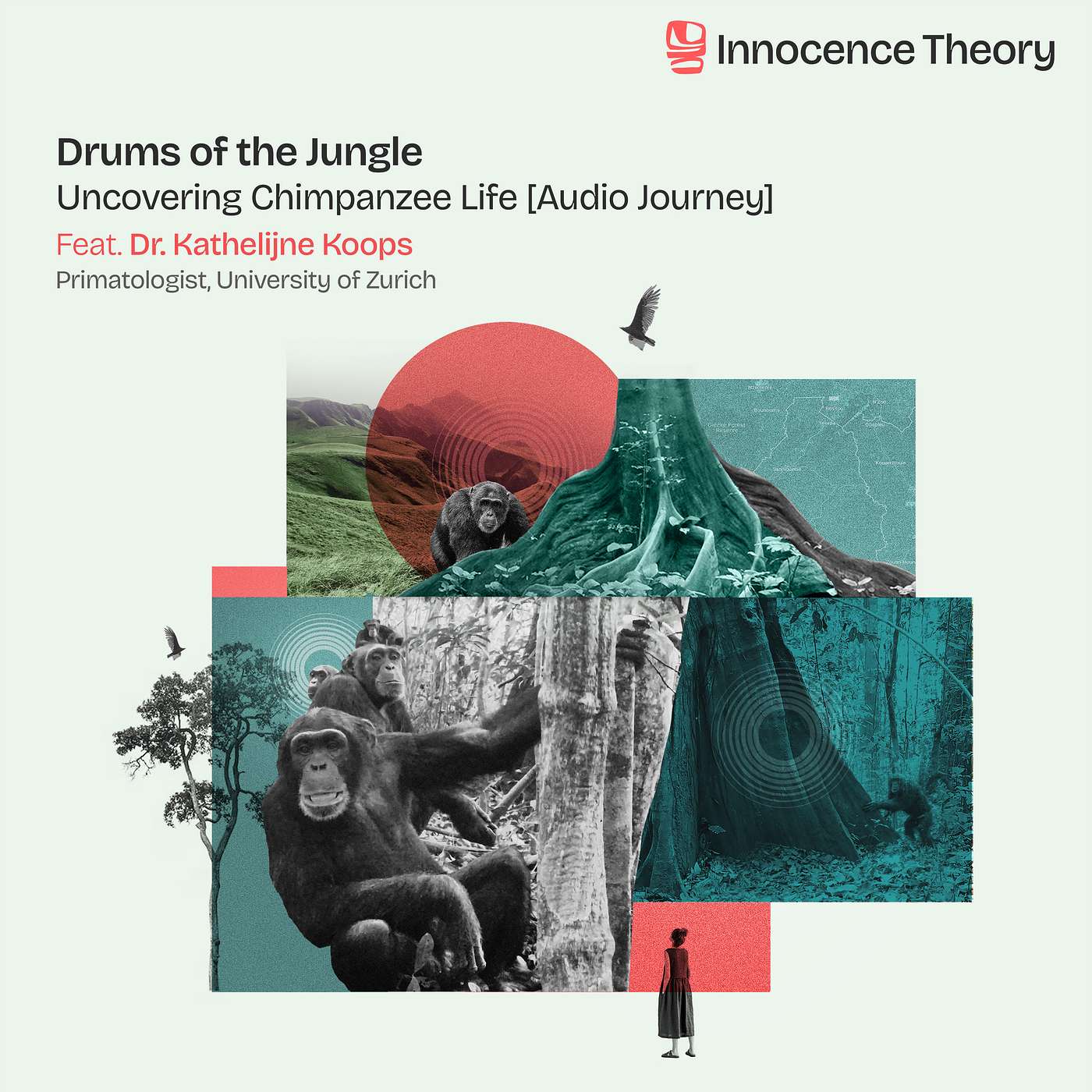 Drums of the Jungle: Uncovering Chimpanzee Life [Audio Journey]